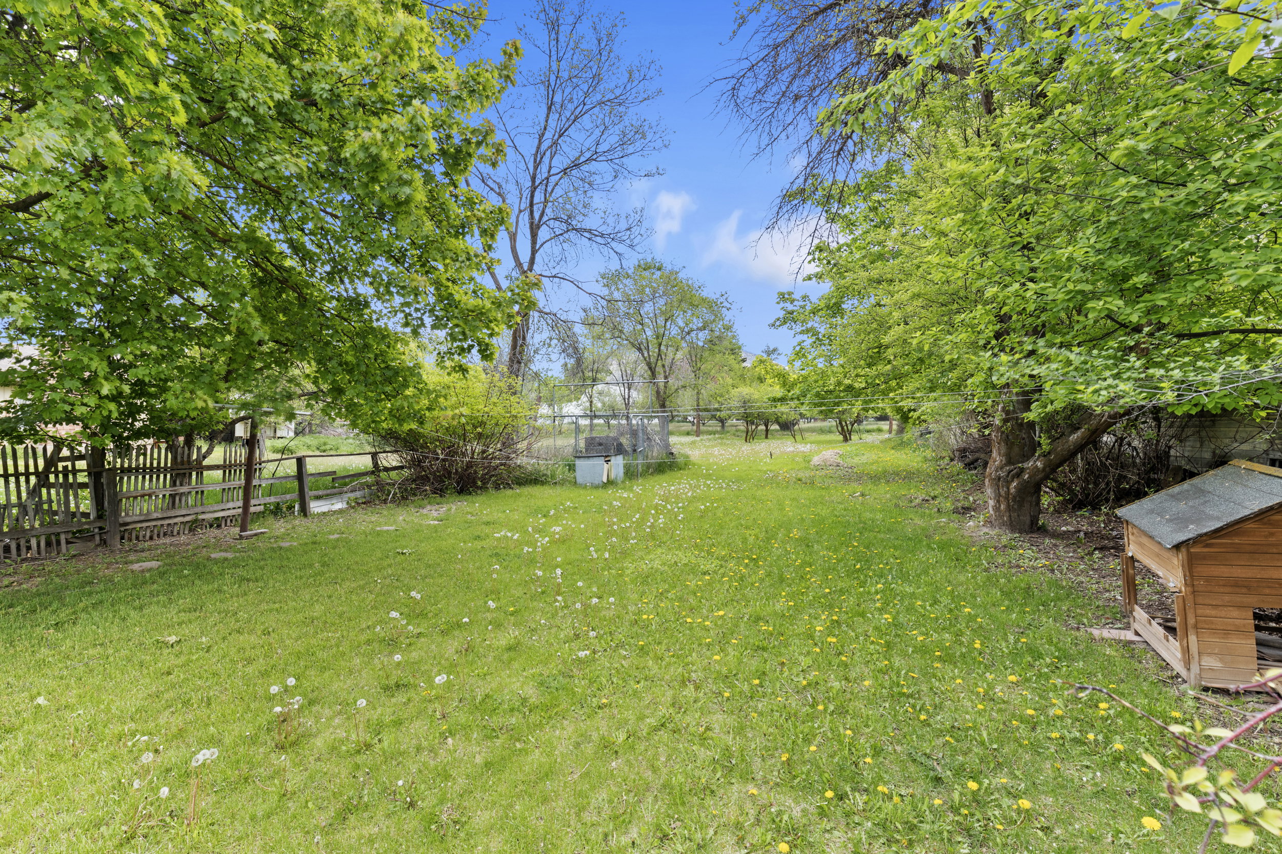 Expansive green lawn framed by mature trees