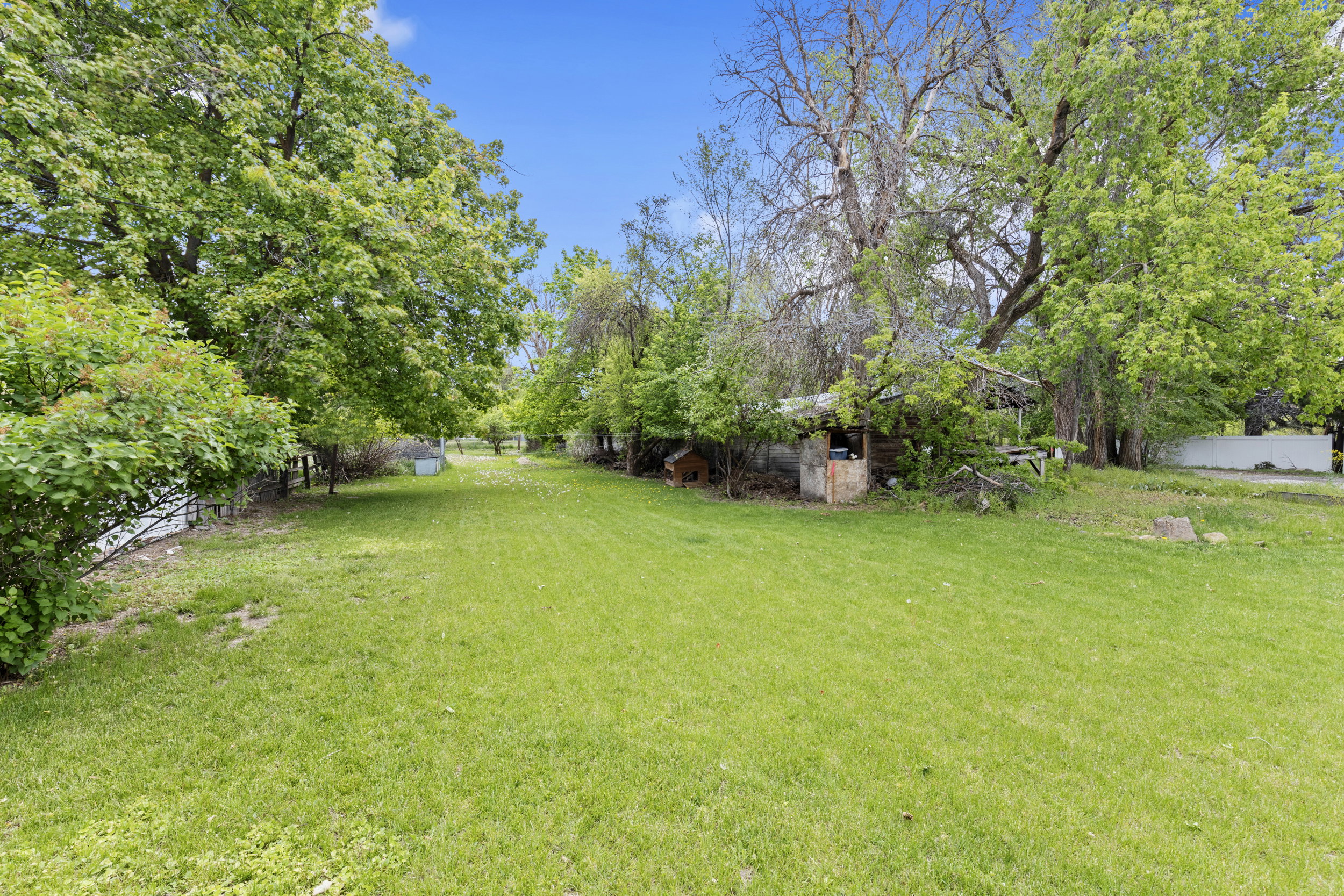 Expansive green lawn surrounded by mature trees and shrubs