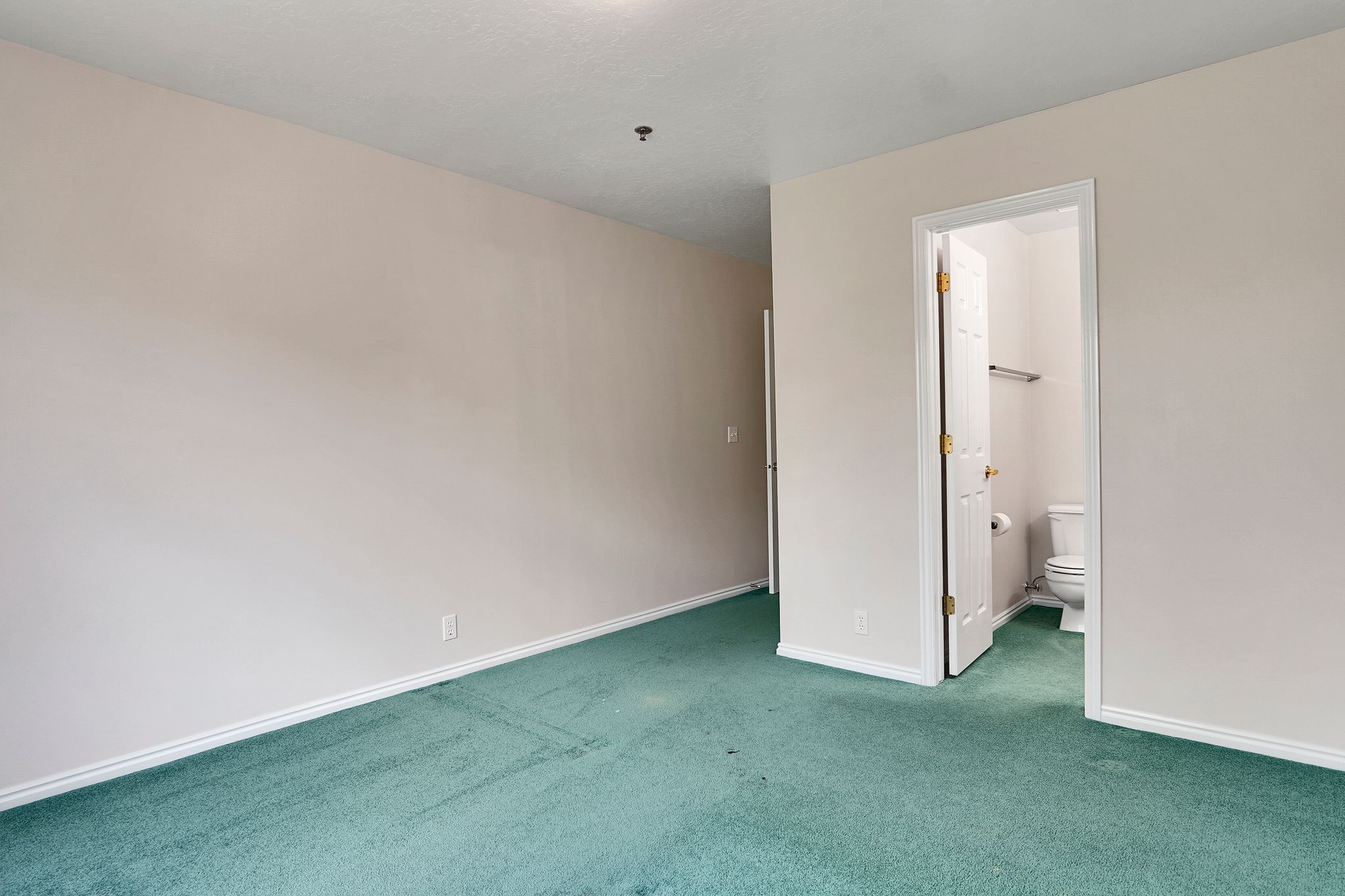 Spacious room featuring light-colored walls and green carpeting