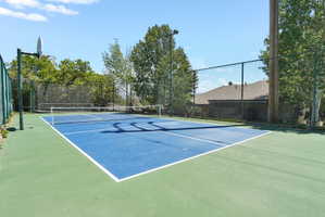 Private outdoor Pickleball court featuring a blue and green playing surface