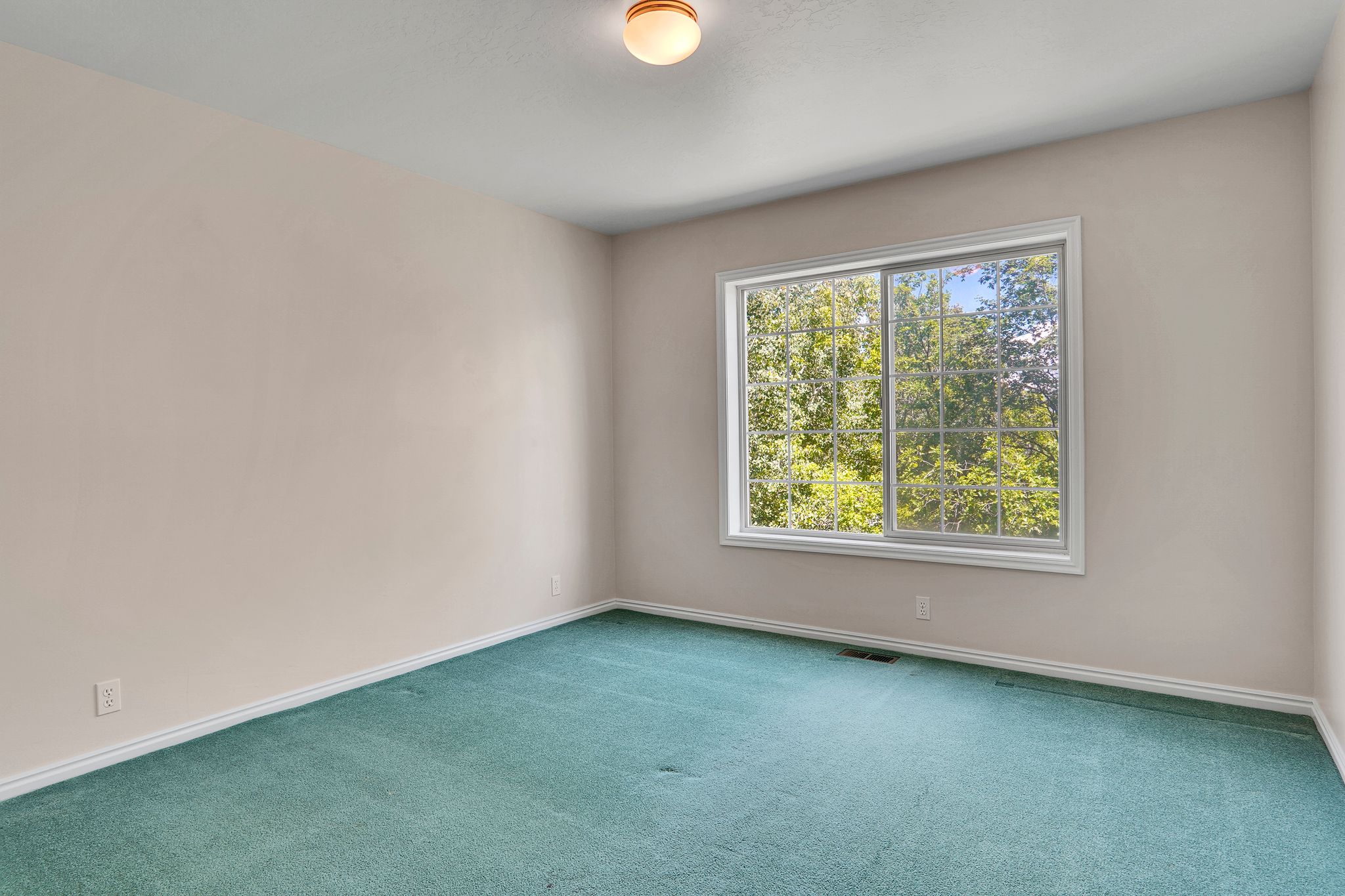 Spacious room featuring a large window with grid panes, green carpeting, white baseboards, and a ceiling-mounted light fixture