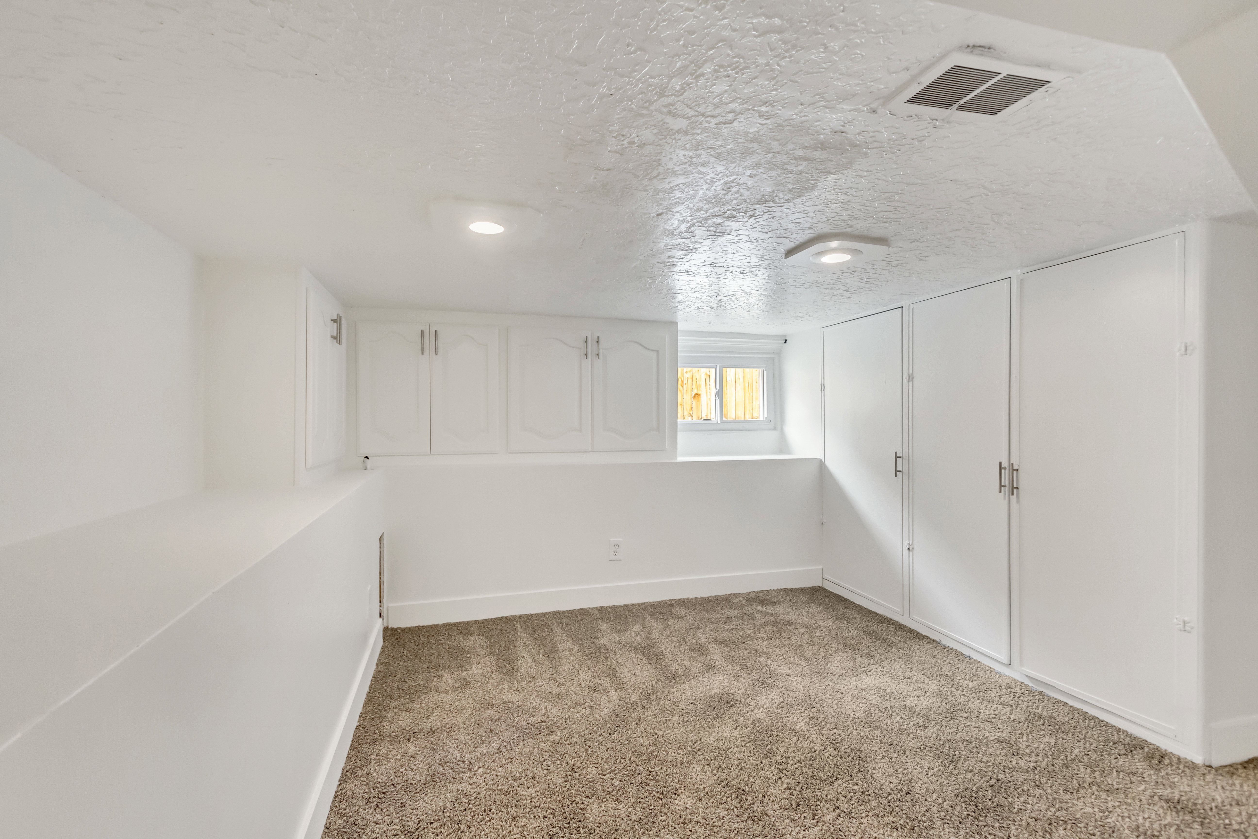 Lower level space featuring built-in cabinetry, recessed lighting, and a neutral carpet