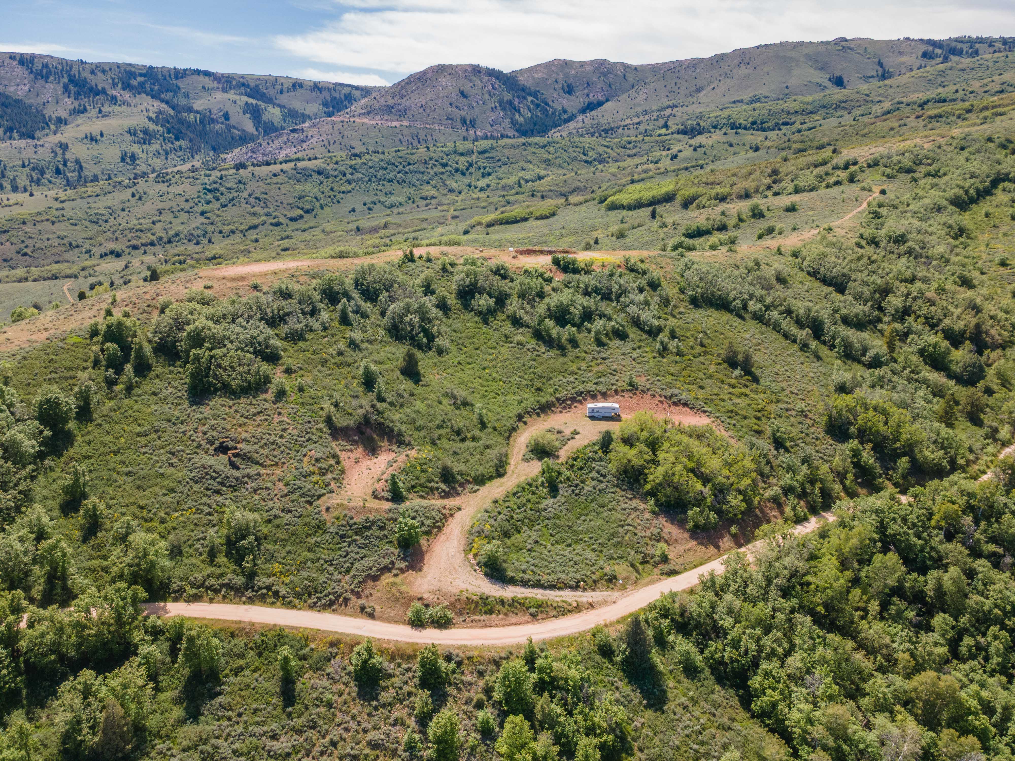 Expansive acreage featuring mountainous terrain, mature deciduous and coniferous trees, and a visible unpaved road