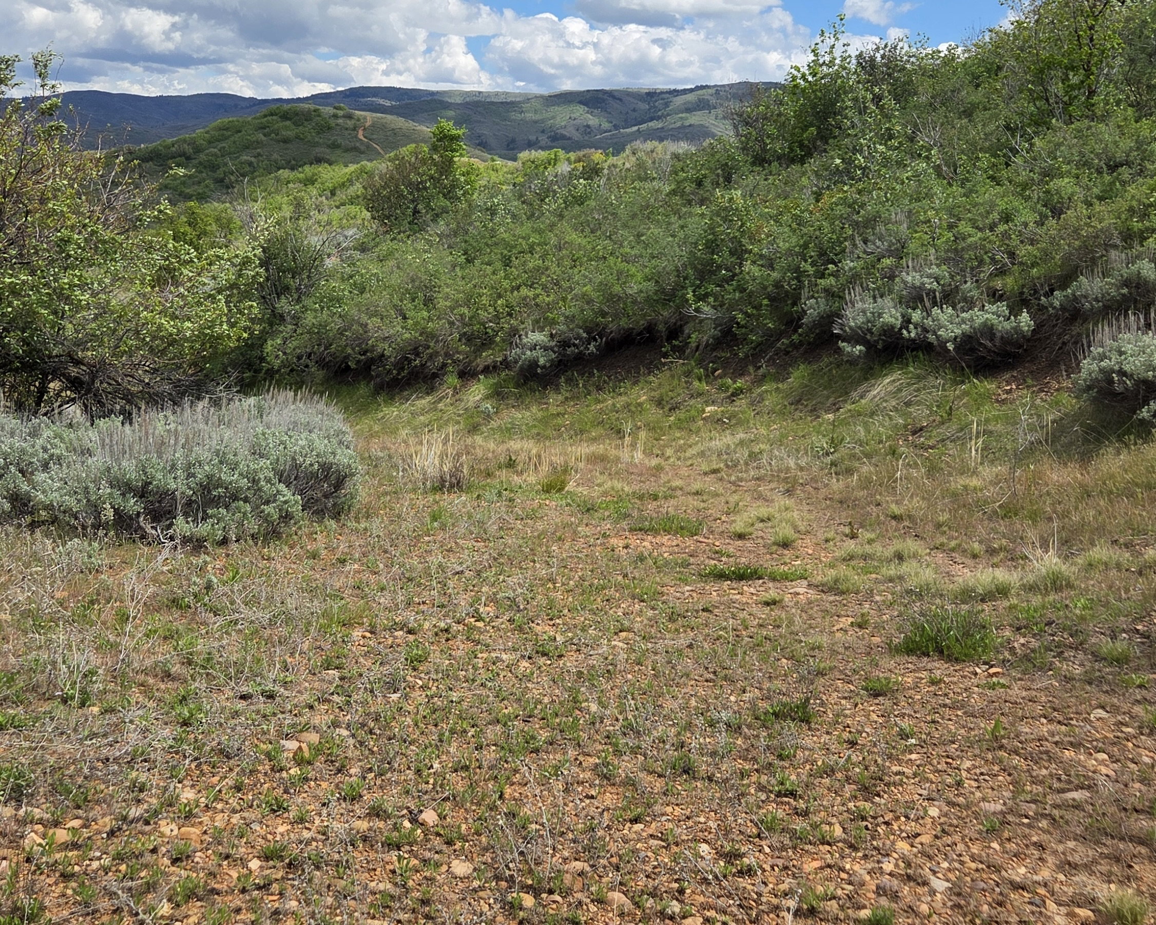 Expansive natural landscape featuring rolling hills, varied green foliage, and distant mountainous terrain