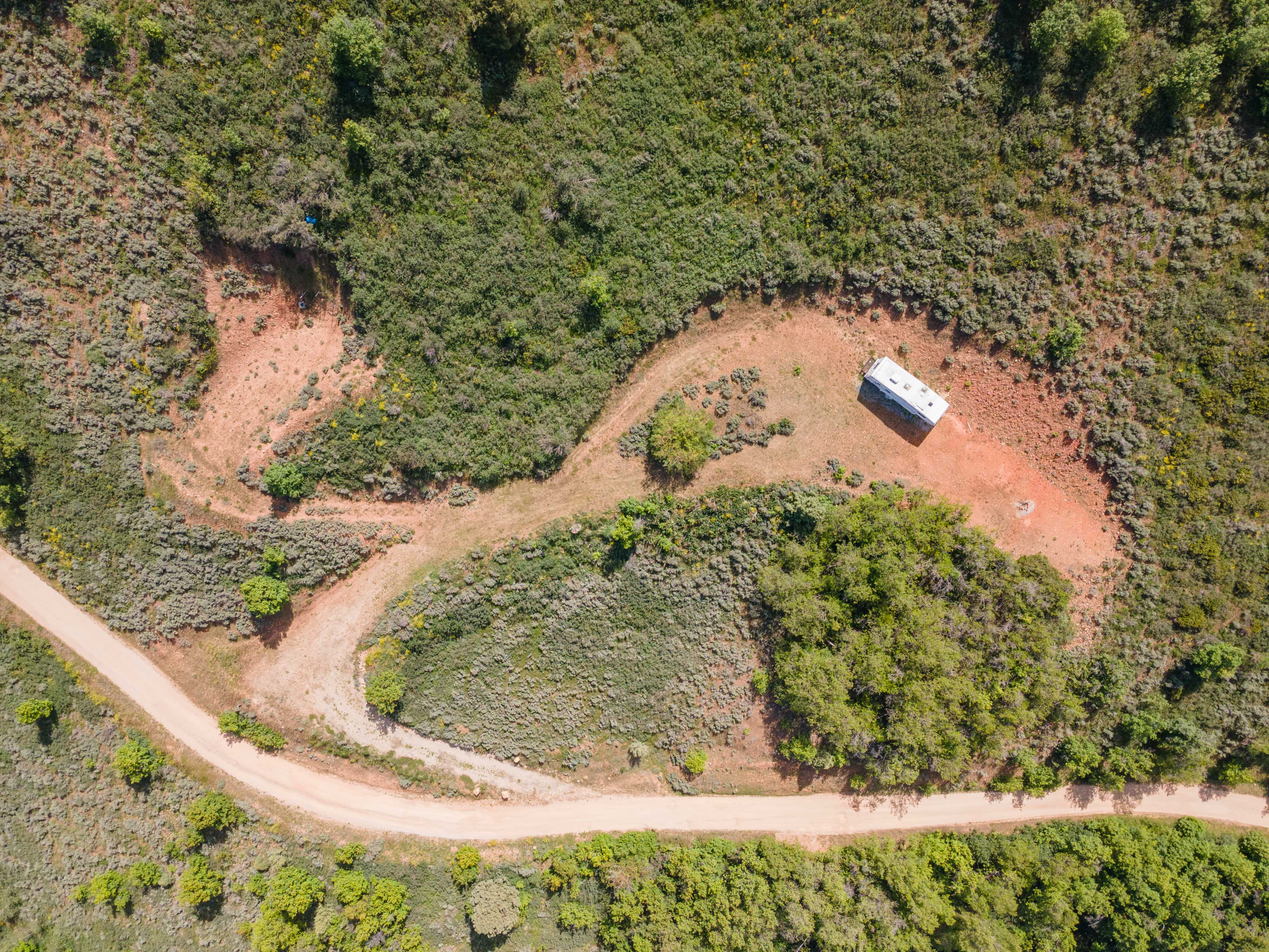 Expansive undeveloped land featuring a winding dirt road and natural foliage