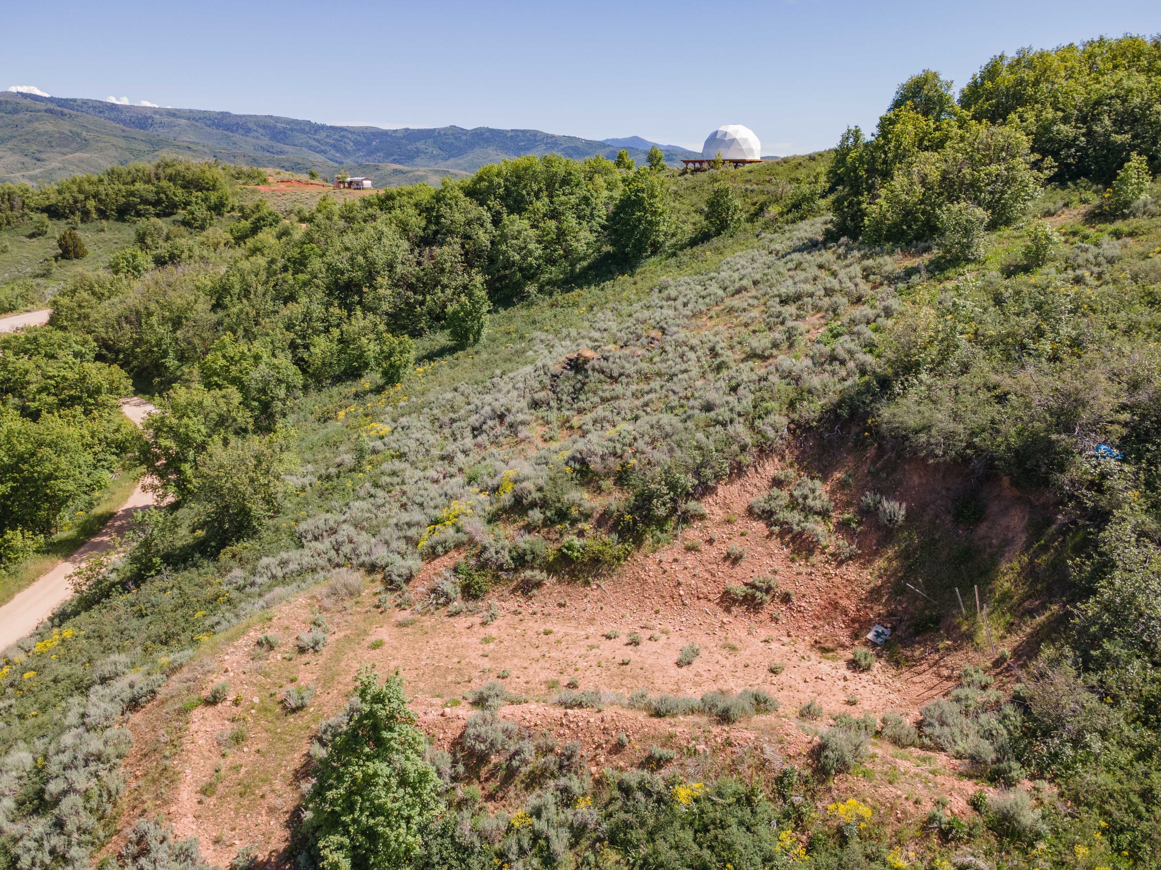 Sloping terrain featuring varied green foliage and scattered trees under a clear sky