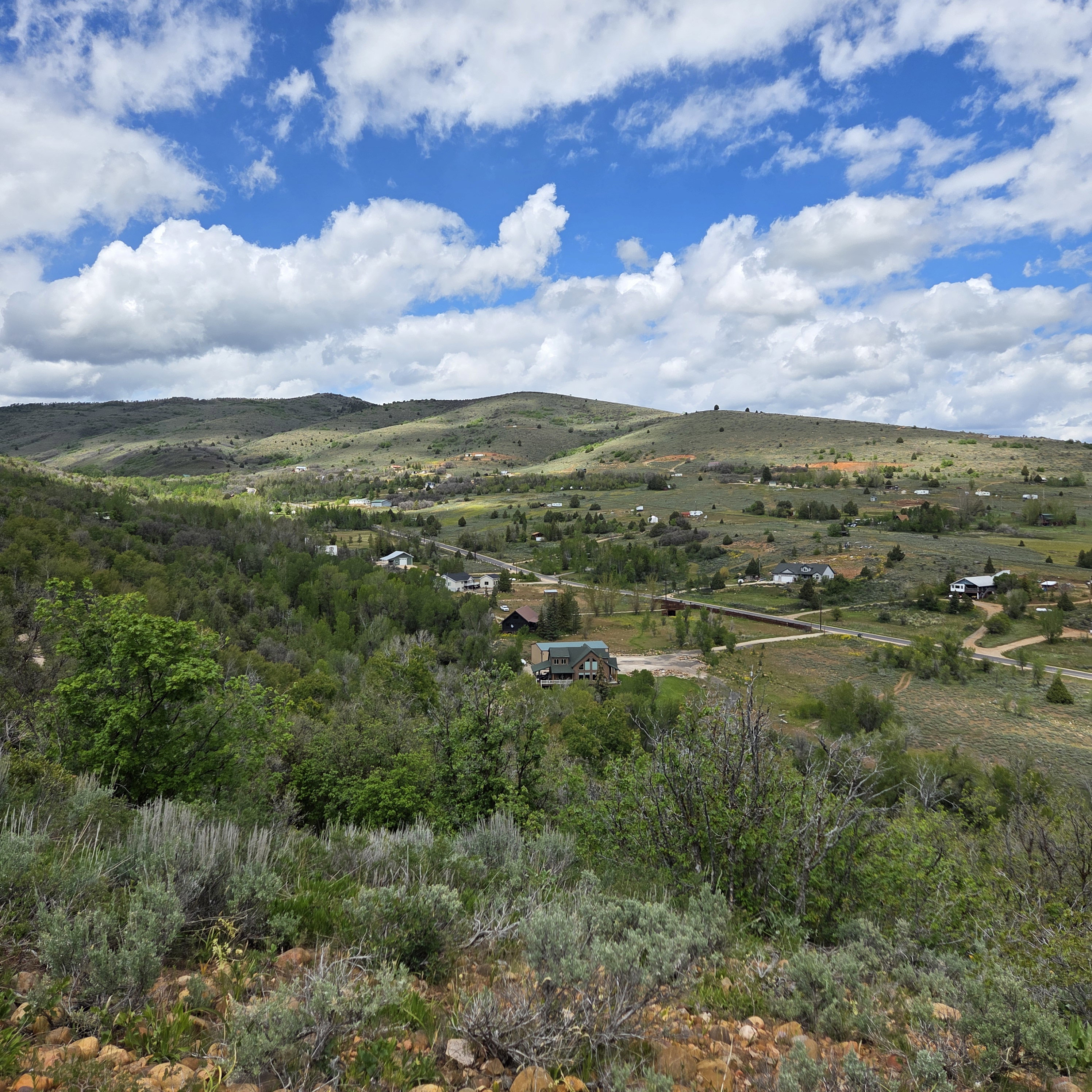 Expansive natural landscape with rolling hills and distant properties, featuring a mix of evergreen and deciduous trees, open grassy areas, and a distinct blue sky with white clouds