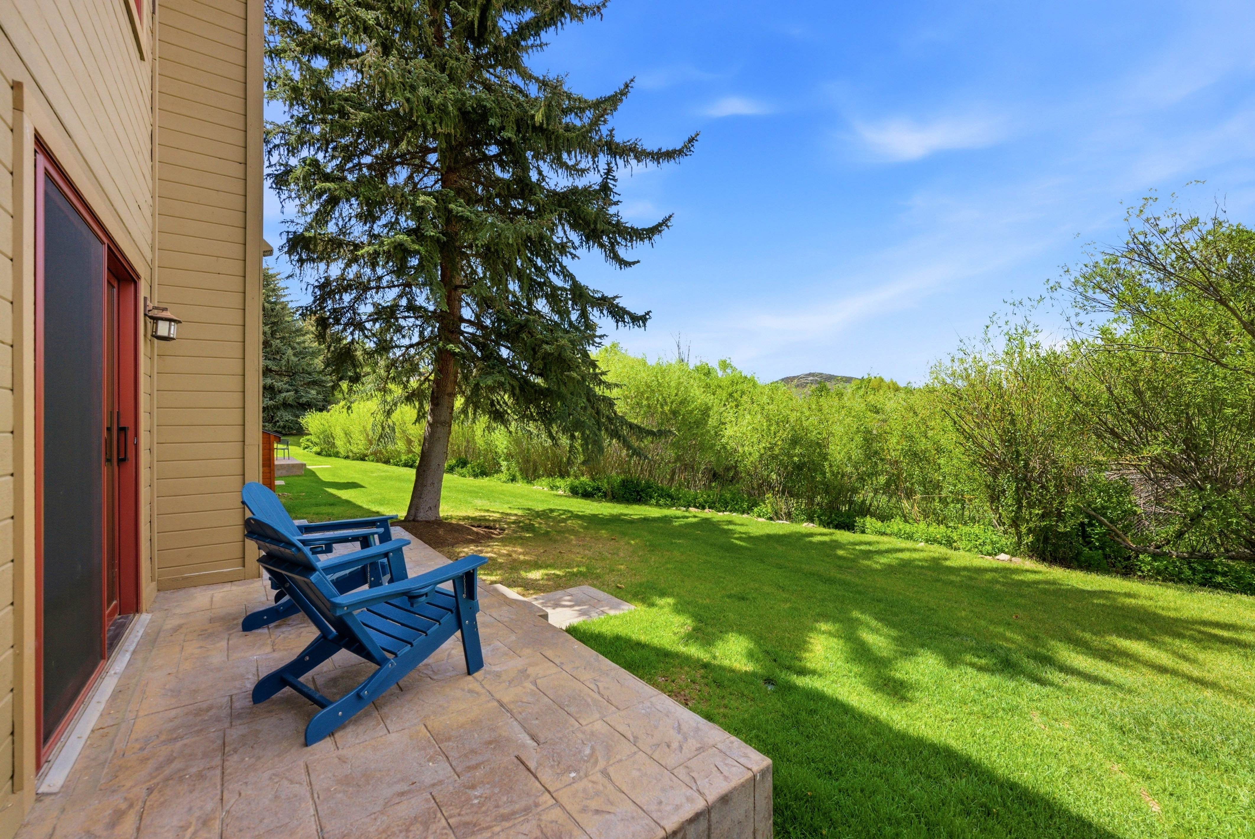 Expansive backyard featuring a manicured lawn, established evergreens, and mature deciduous trees