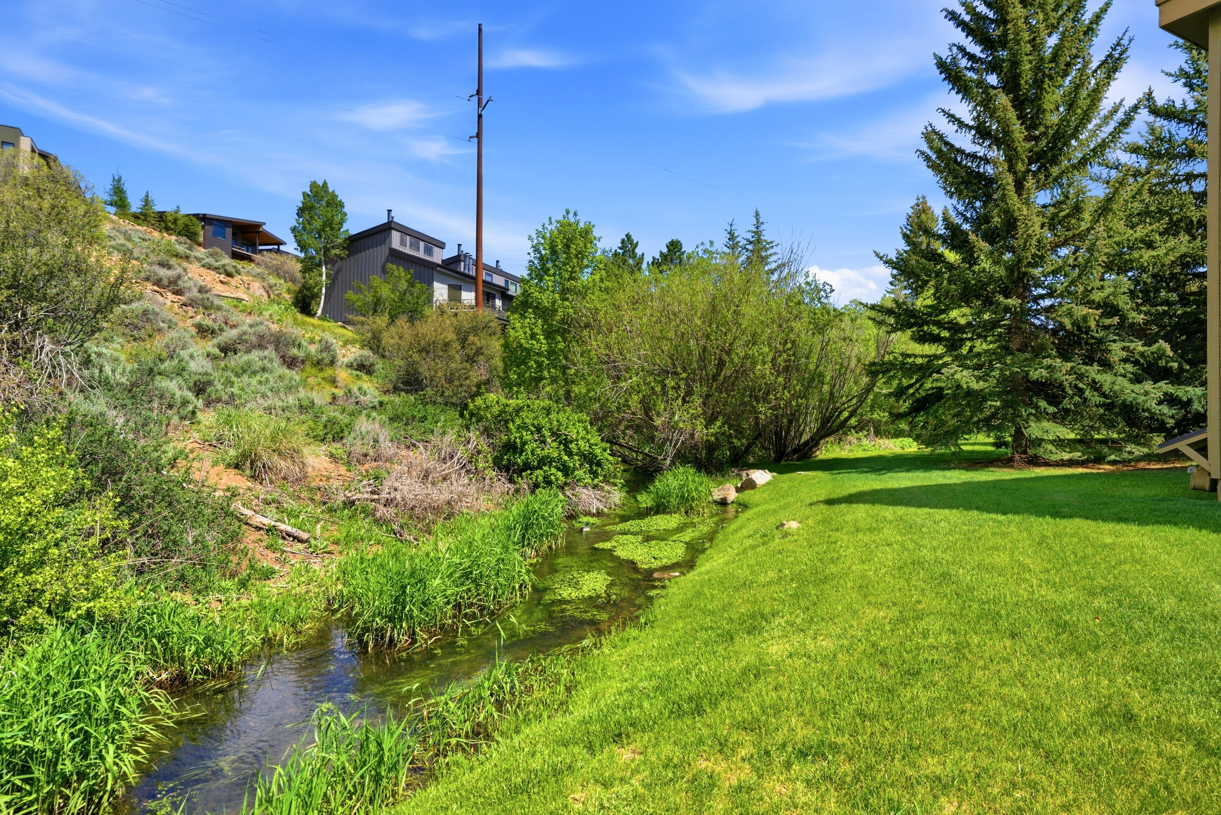 Expansive green lawn bordering a natural stream