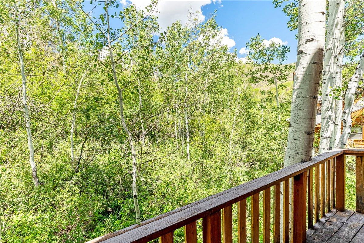 View from rear deck