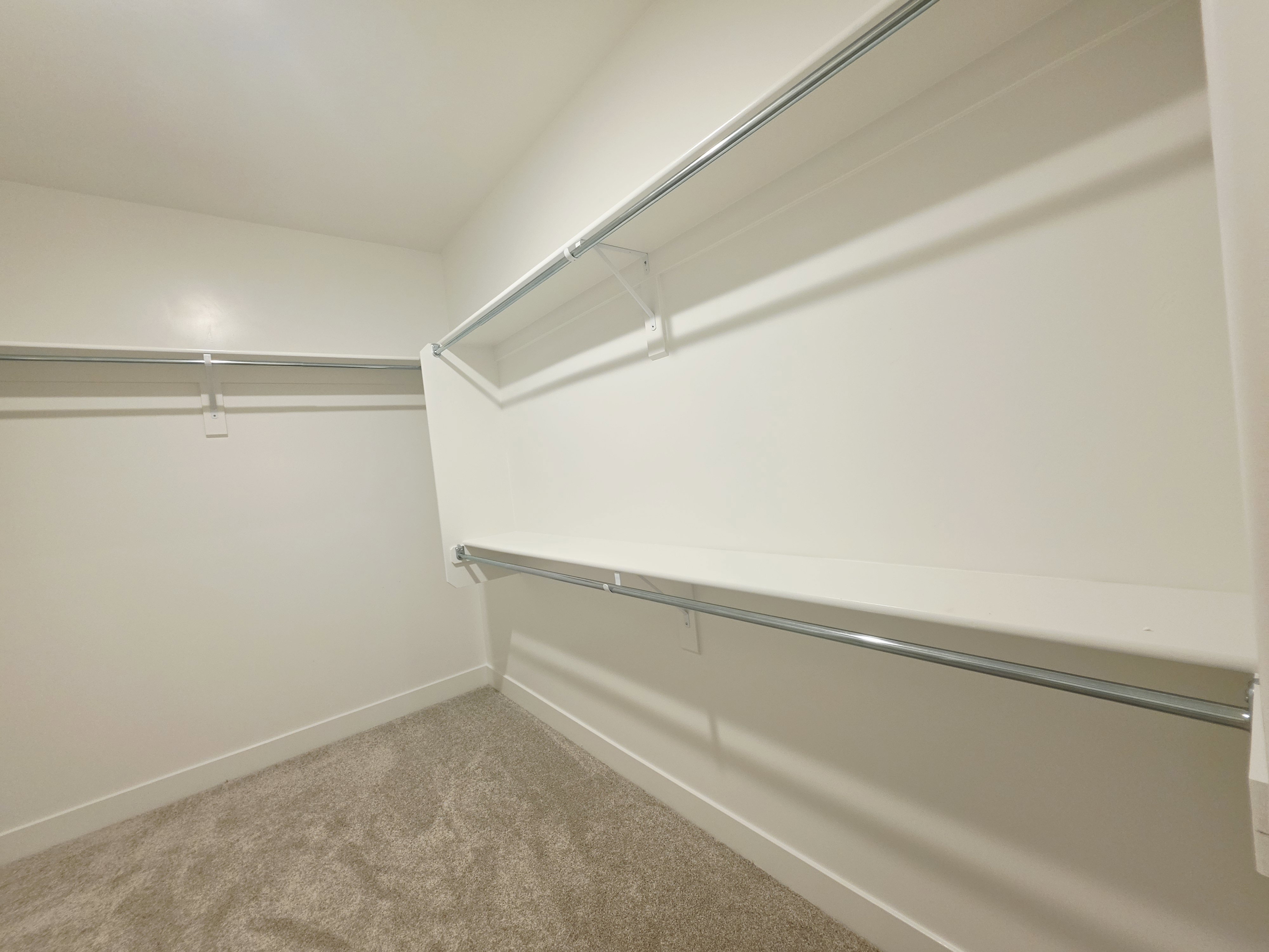 Expansive closet featuring plush carpeting, multiple built-in shelving units, and metal hanging rods