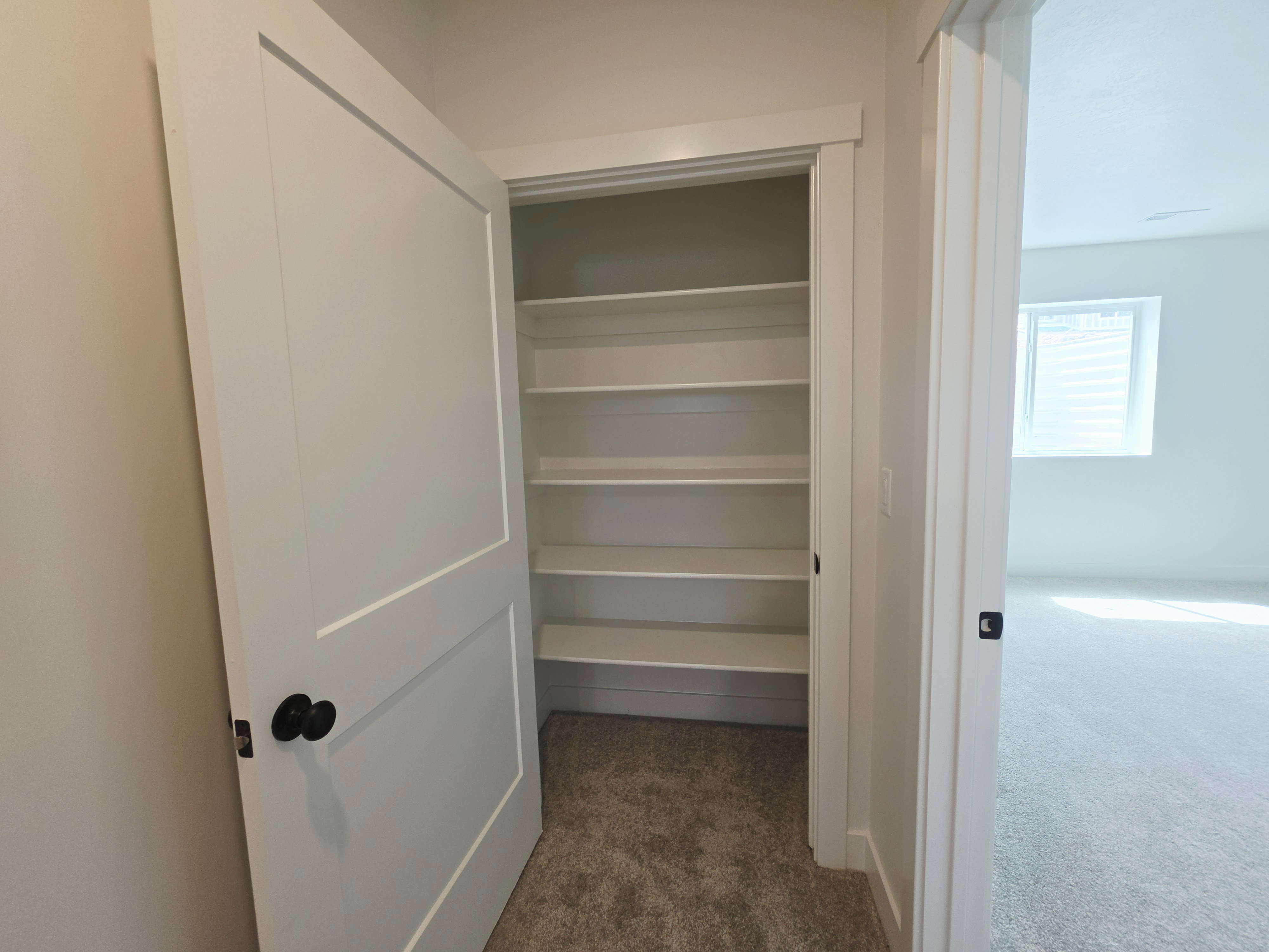 Built-in shelving unit providing extensive storage, featuring a carpeted floor