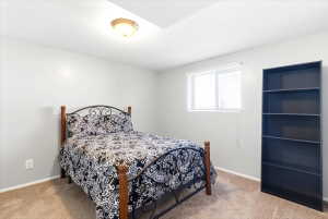 Neutral-toned bedroom featuring carpet flooring, a window with horizontal blinds, and a ceiling-mounted light fixture