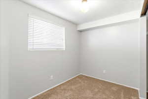Neutral tone walls with carpet flooring, featuring a window with horizontal blinds and an overhead light fixture
