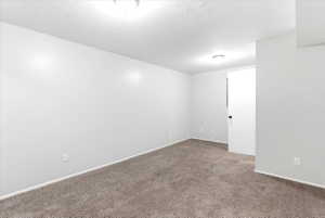 Spacious room featuring neutral carpeting, white walls, and bright ceiling-mounted lighting