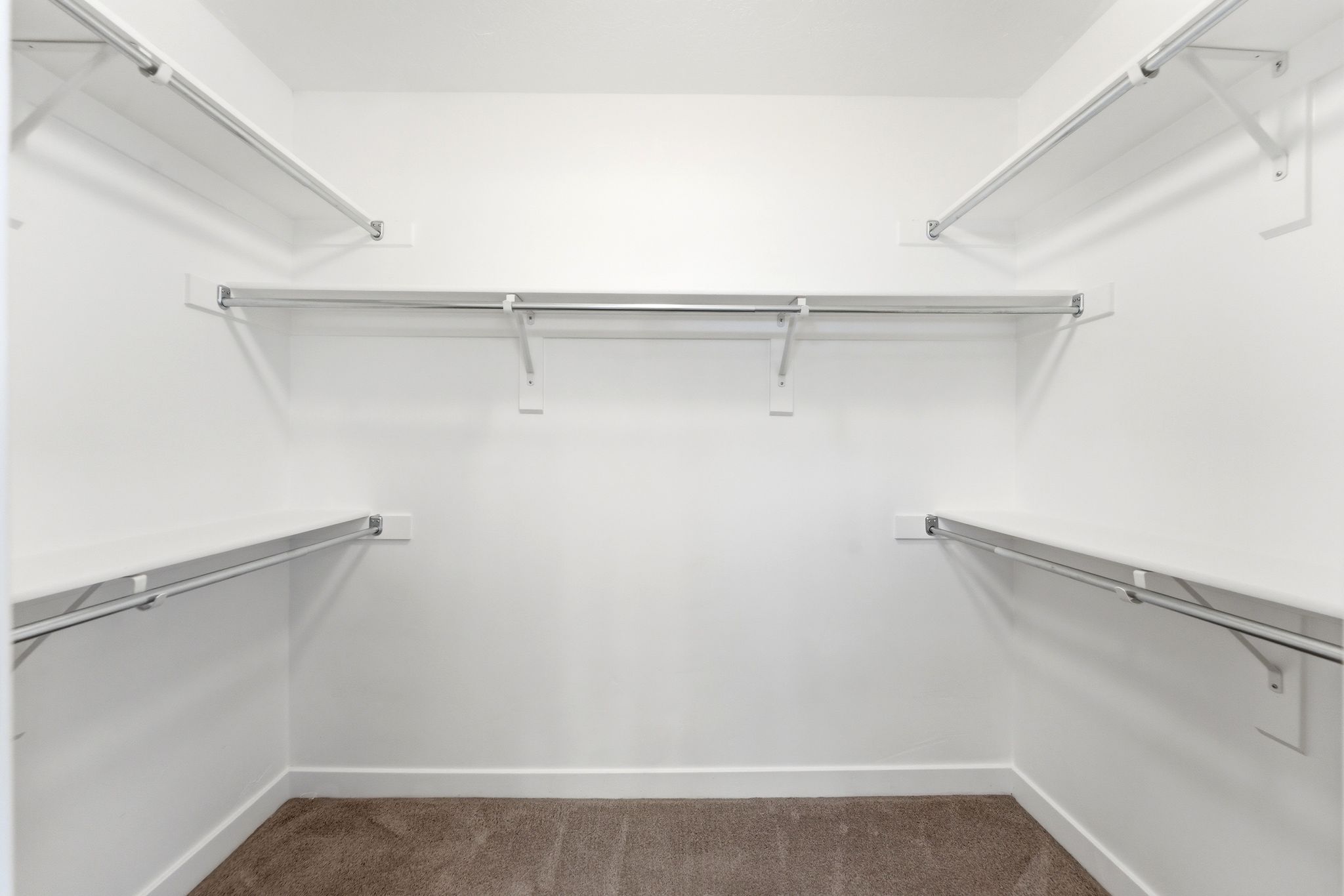 Walk-in closet featuring white painted walls, a plush brown carpet, built-in shelving, and metal hanging rods