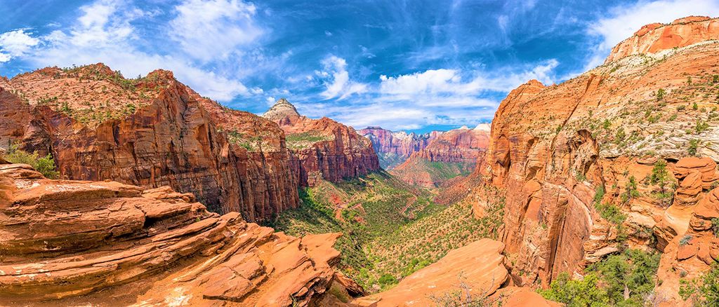 Expansive canyon landscape featuring towering rock formations and diverse desert flora under a vast blue sky