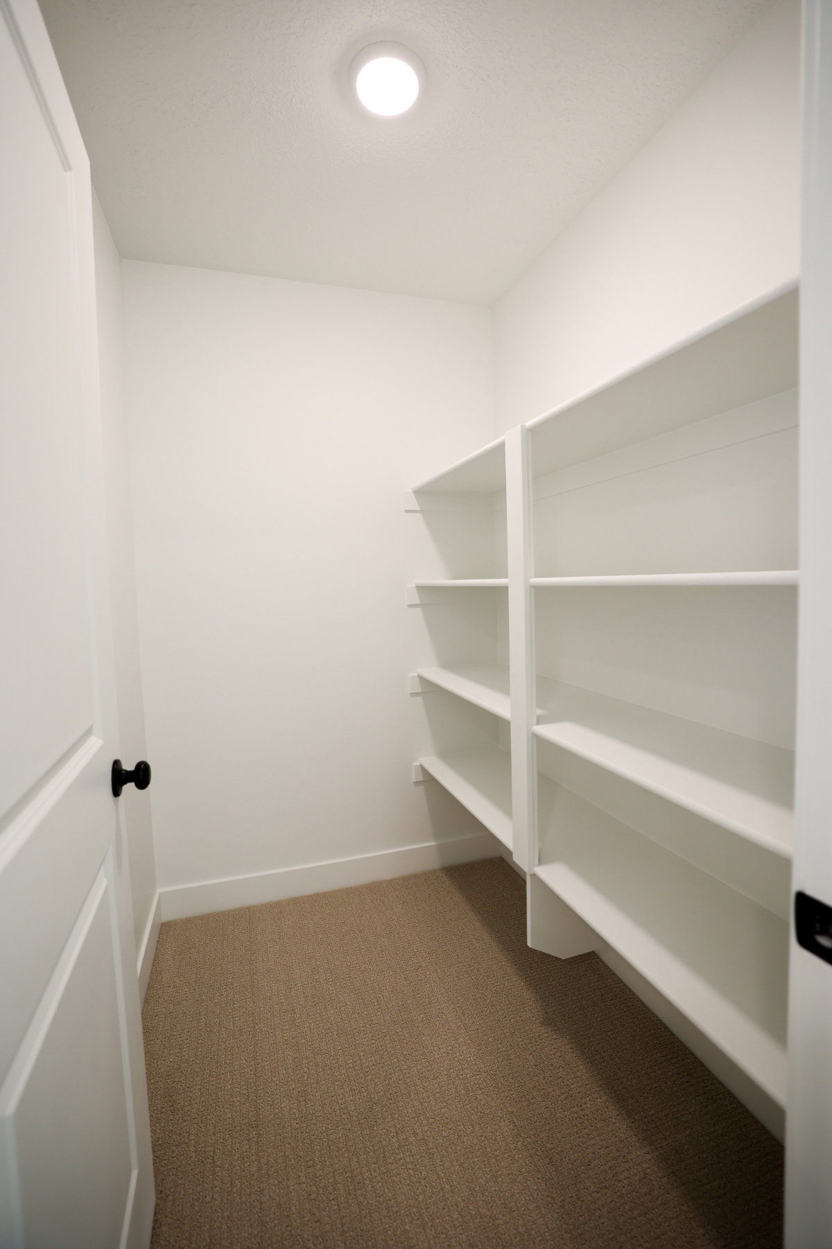 Spacious walk-in closet featuring white built-in shelving, recessed ceiling lighting, and neutral tone carpeting