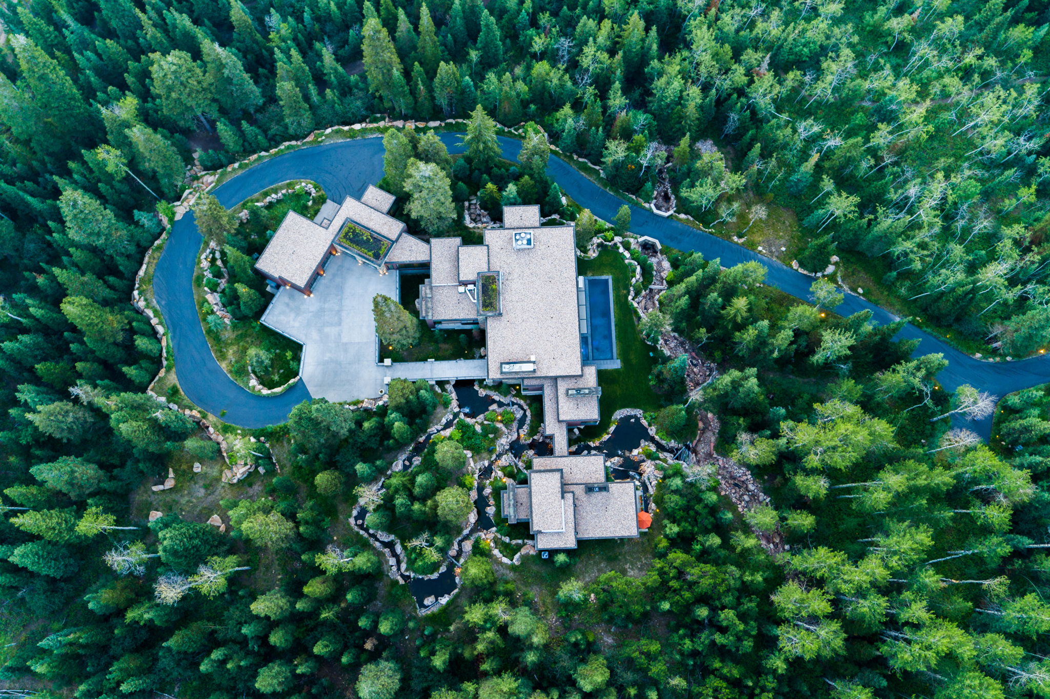 Expansive wooded property featuring a multi-structure residence with a large asphalt driveway