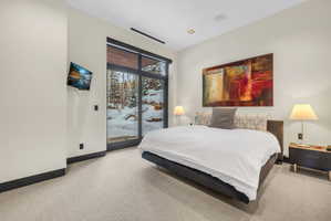 Bedroom featuring large format glass doors, recessed lighting, and light-toned carpeting