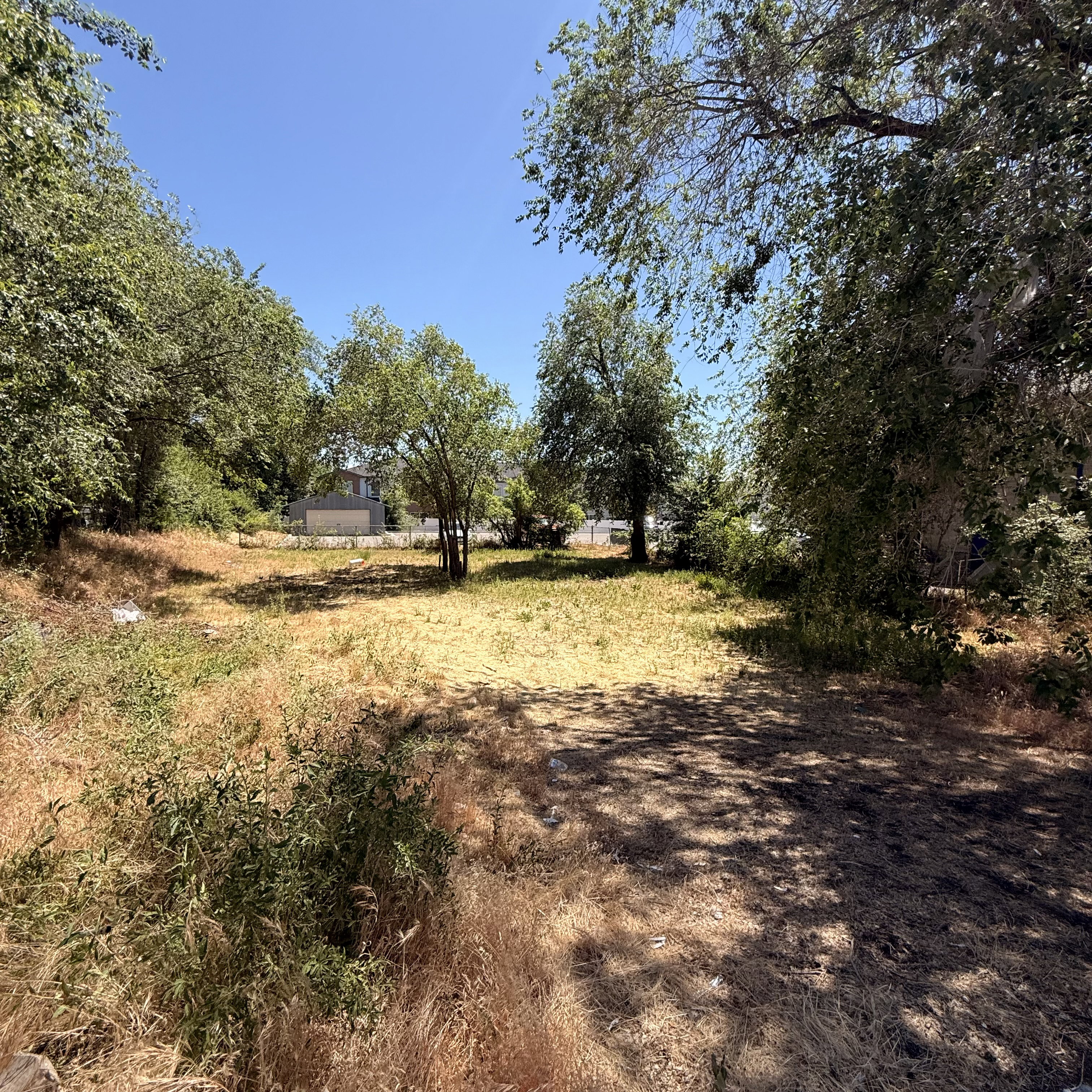 Expansive cleared lot bordered by mature trees