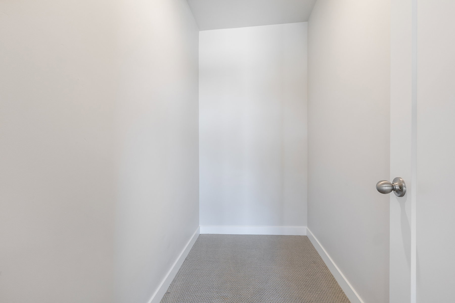 Carpeted closet space featuring neutral wall tones and a standard door with a brushed nickel knob