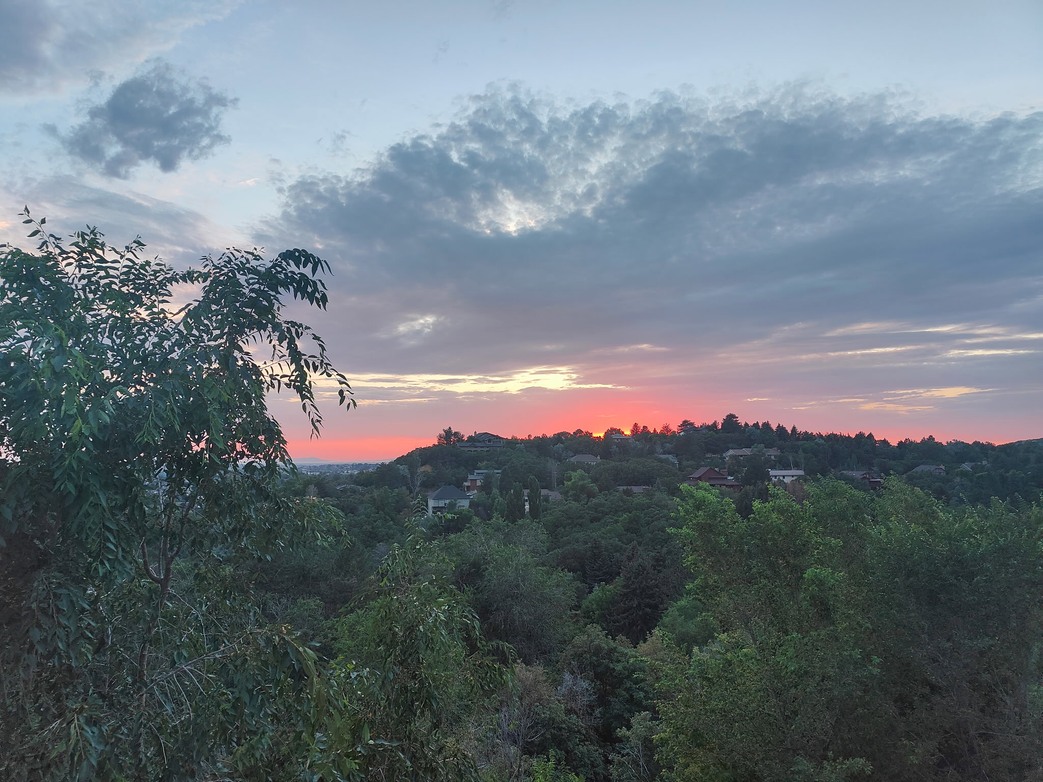 Expansive scenic backdrop featuring a diverse tree line and distant residential structures under a vibrant sky