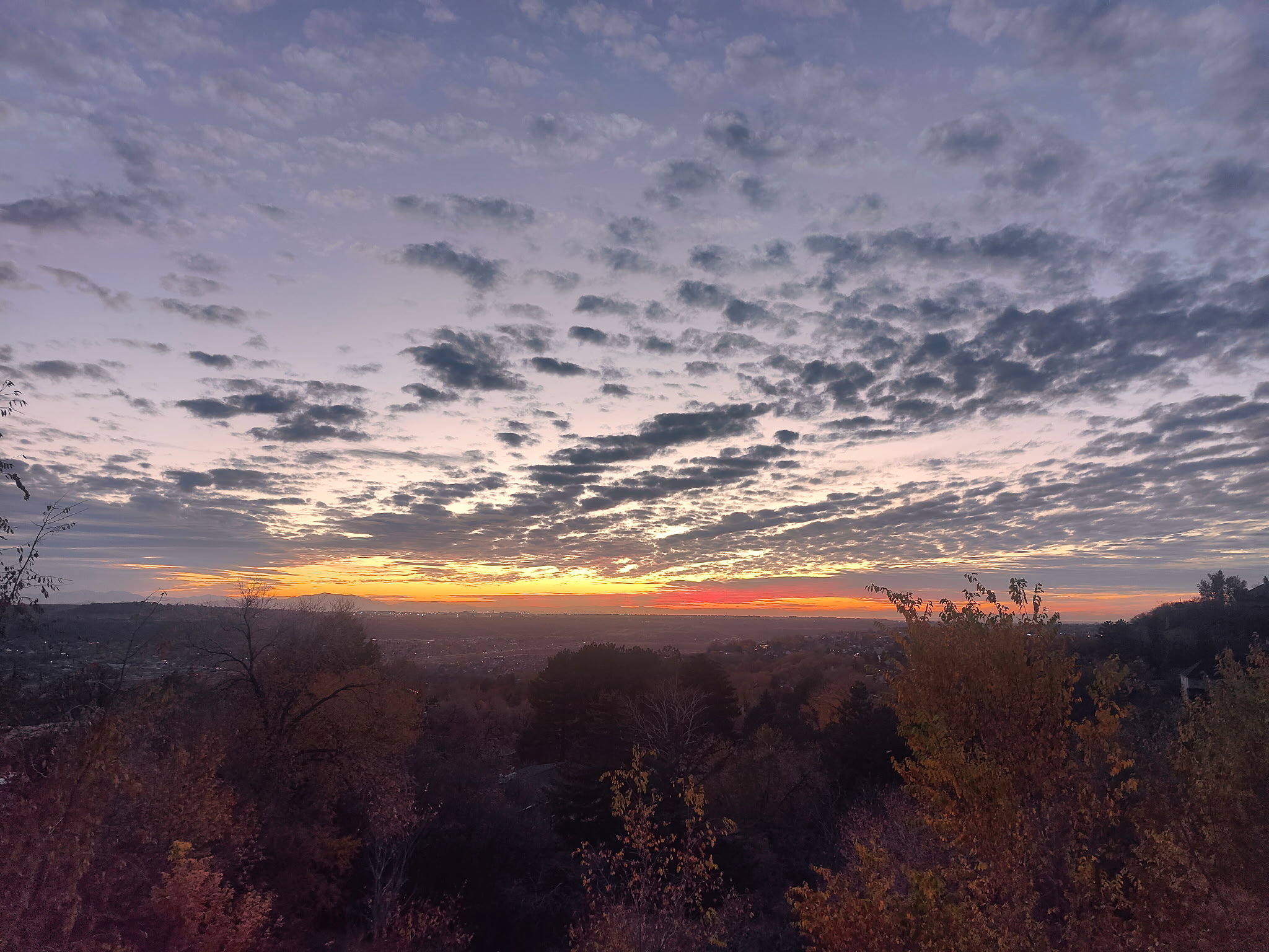 Expansive sky with varied cloud formations
