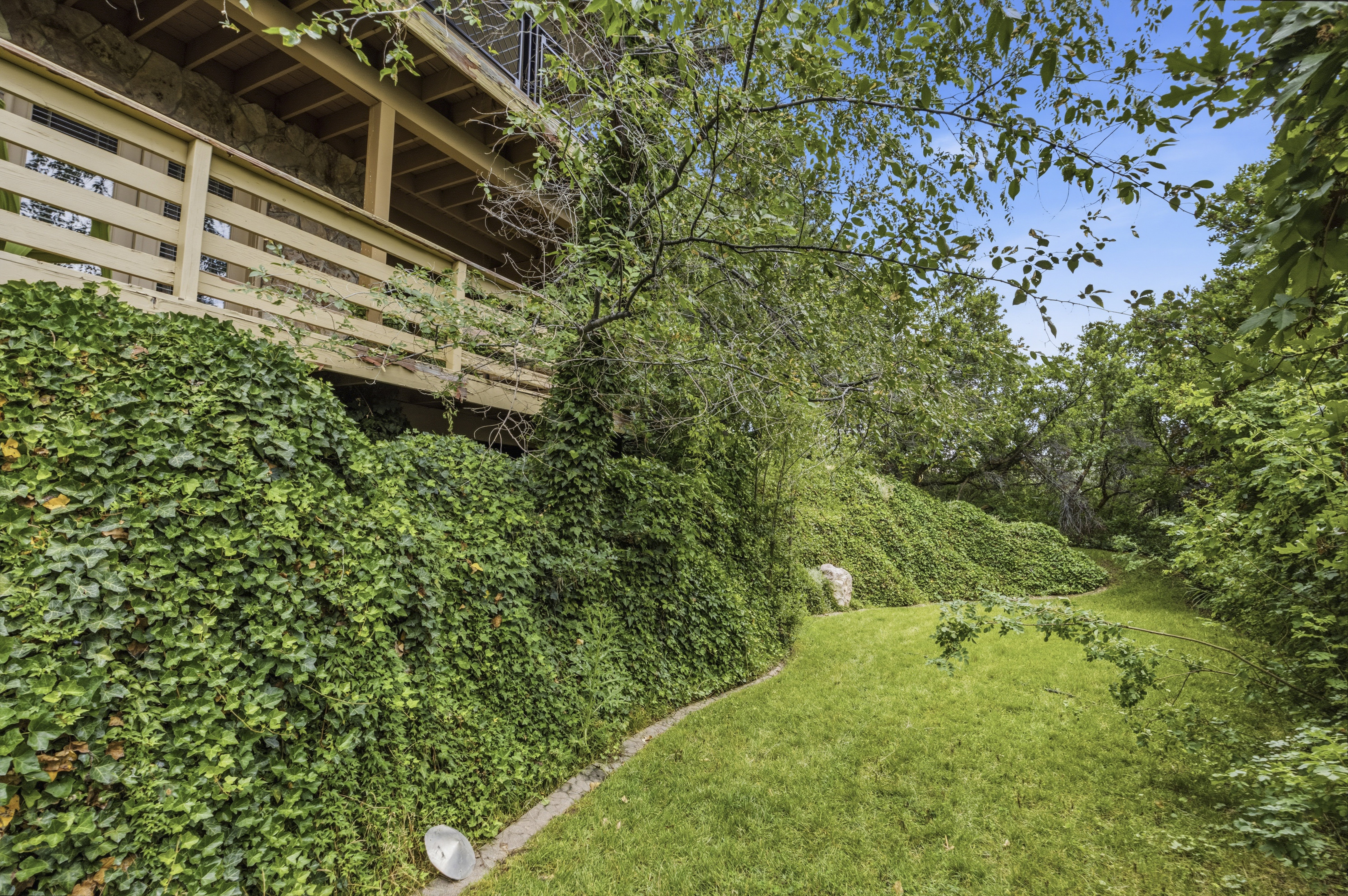 Expansive green space featuring a sloped, ivy-covered retaining wall and a wooden deck