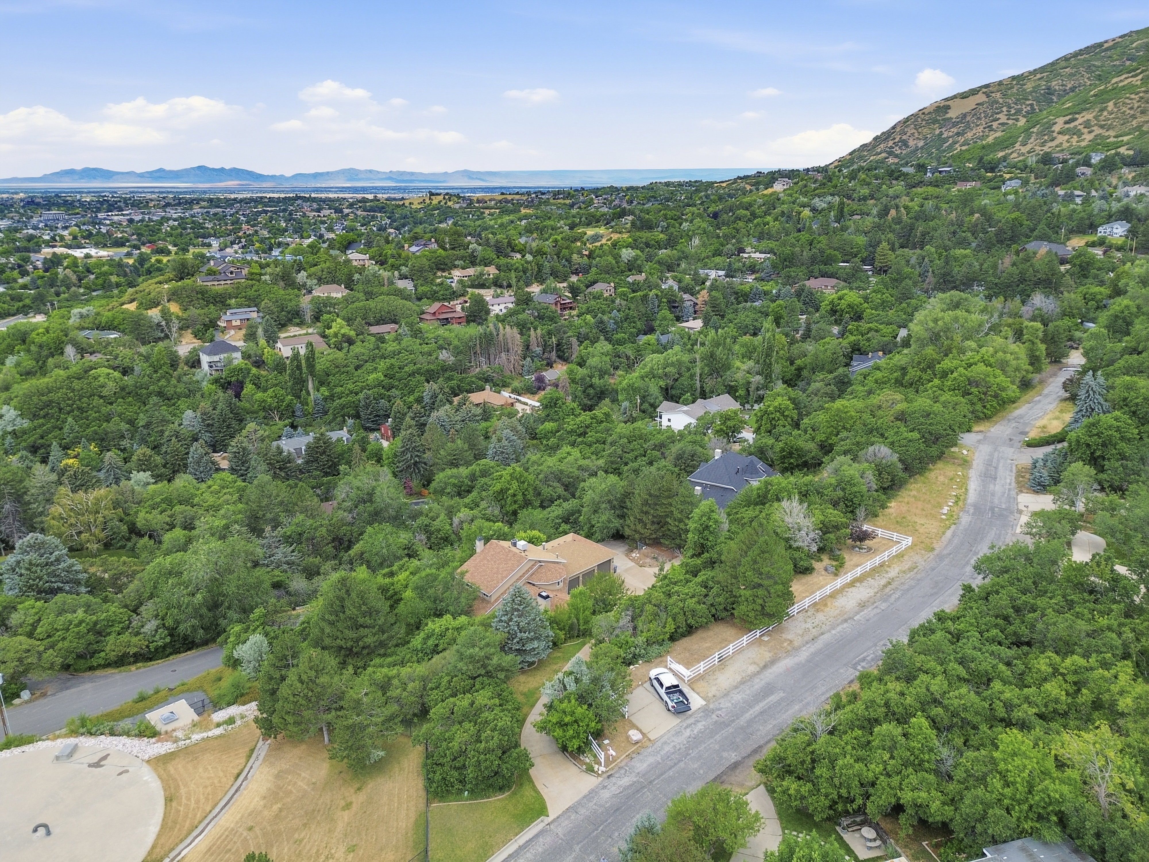 Aerial perspective showcasing a residential neighborhood with extensive mature tree coverage