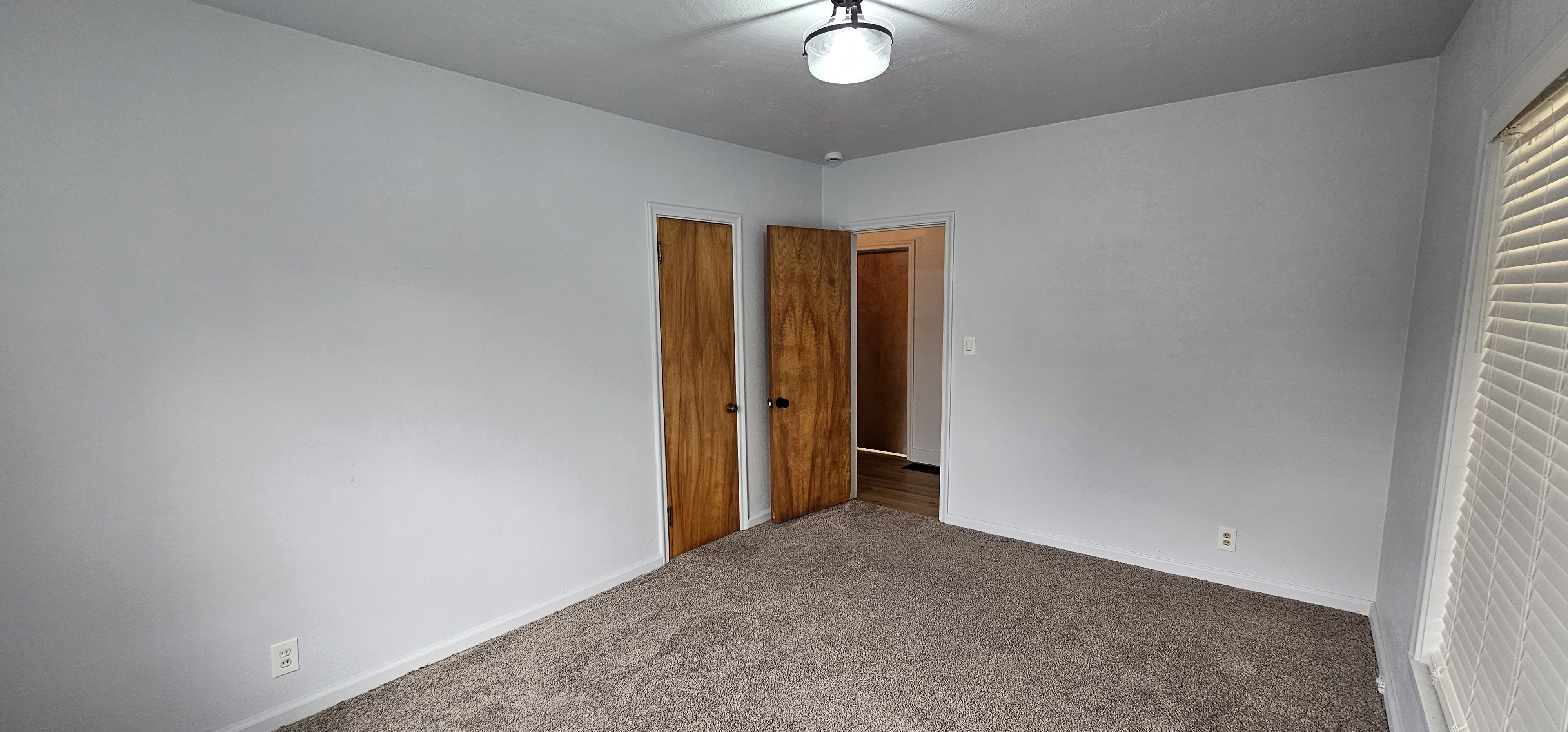 Carpeted room featuring light gray walls, a ceiling-mounted light fixture, and two wood-finish doors