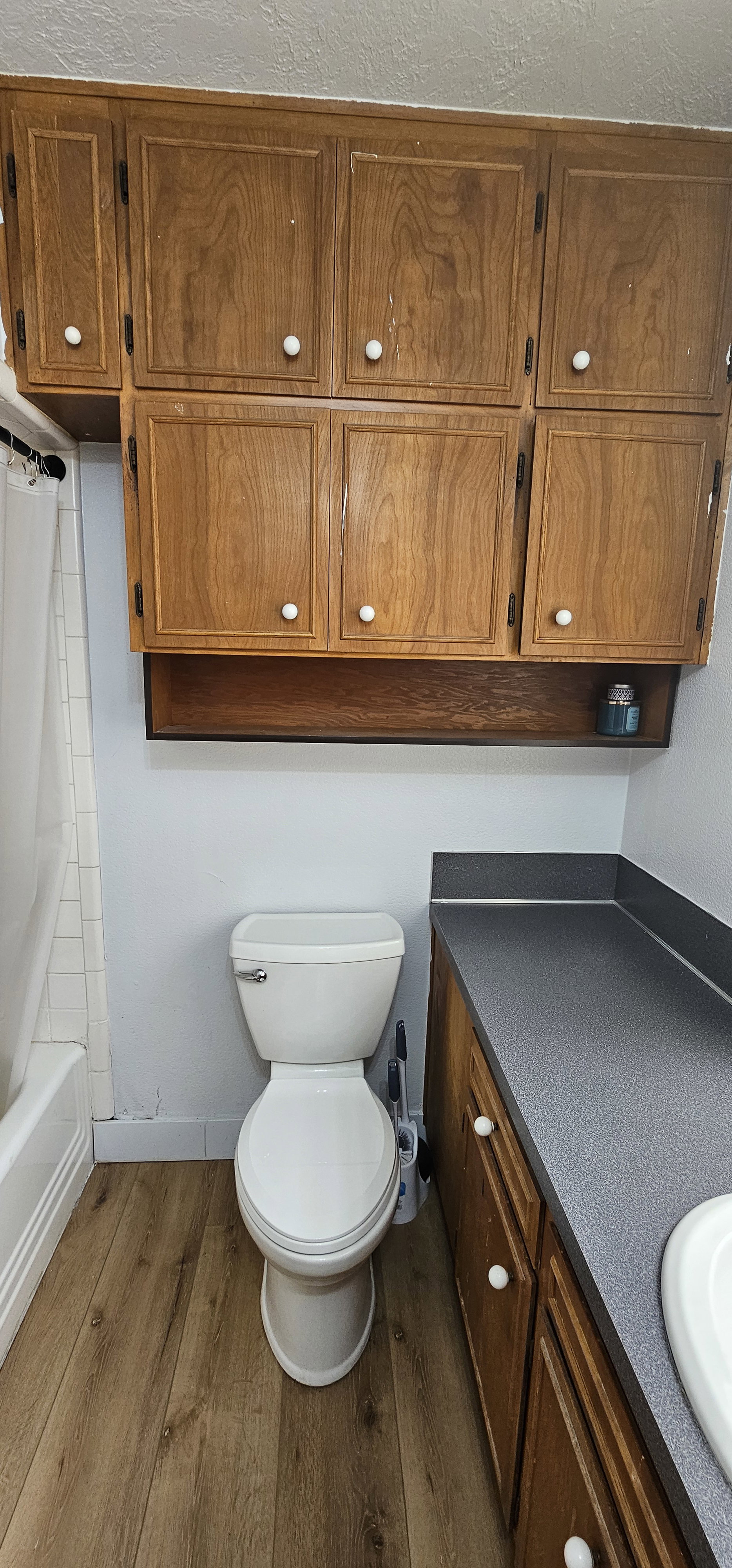 Bathroom featuring wood-finish flooring, a white toilet, and a vanity with wood-finish cabinetry