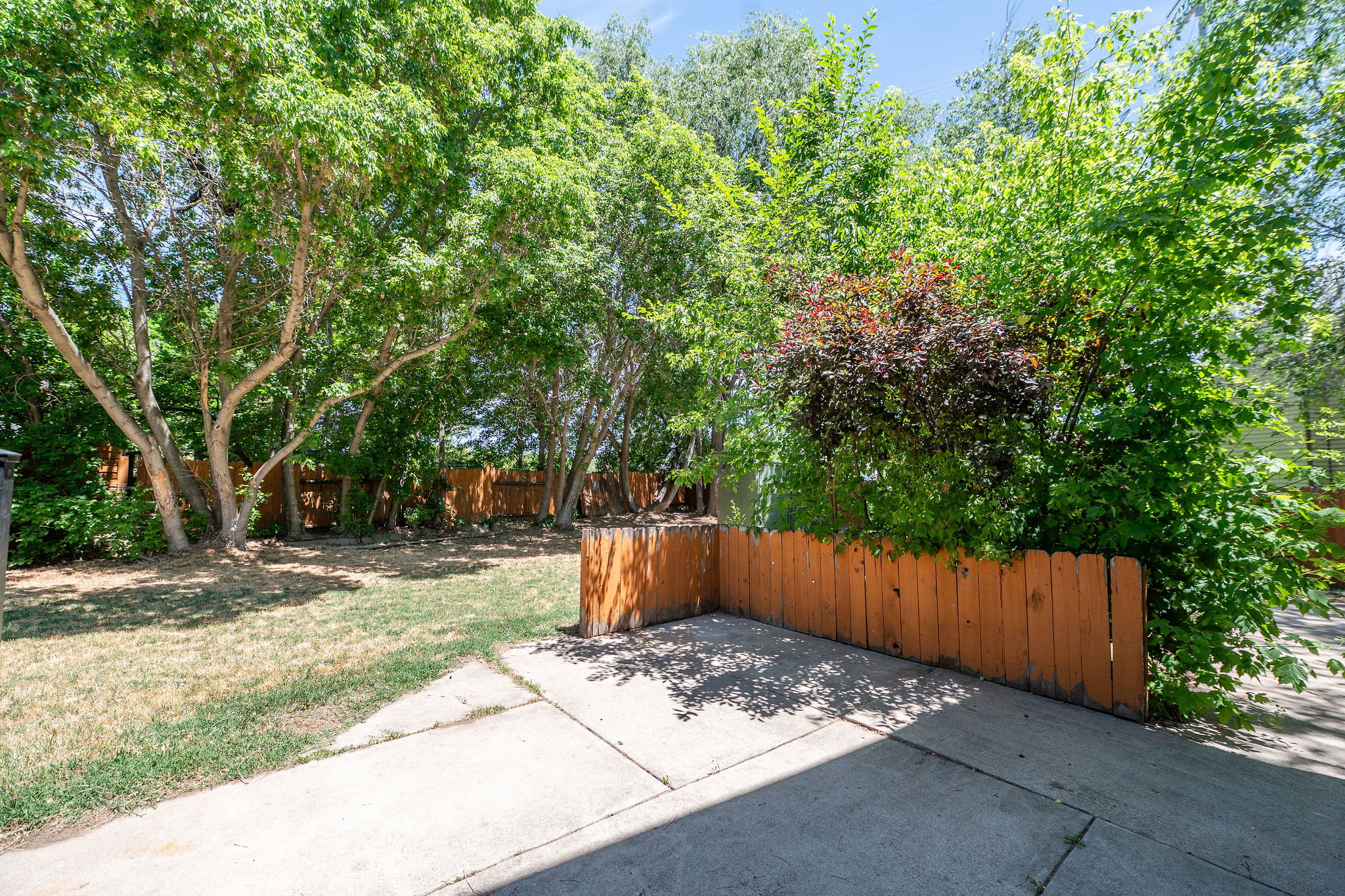 Expansive backyard with a concrete patio area, mature trees, and a wood privacy fence