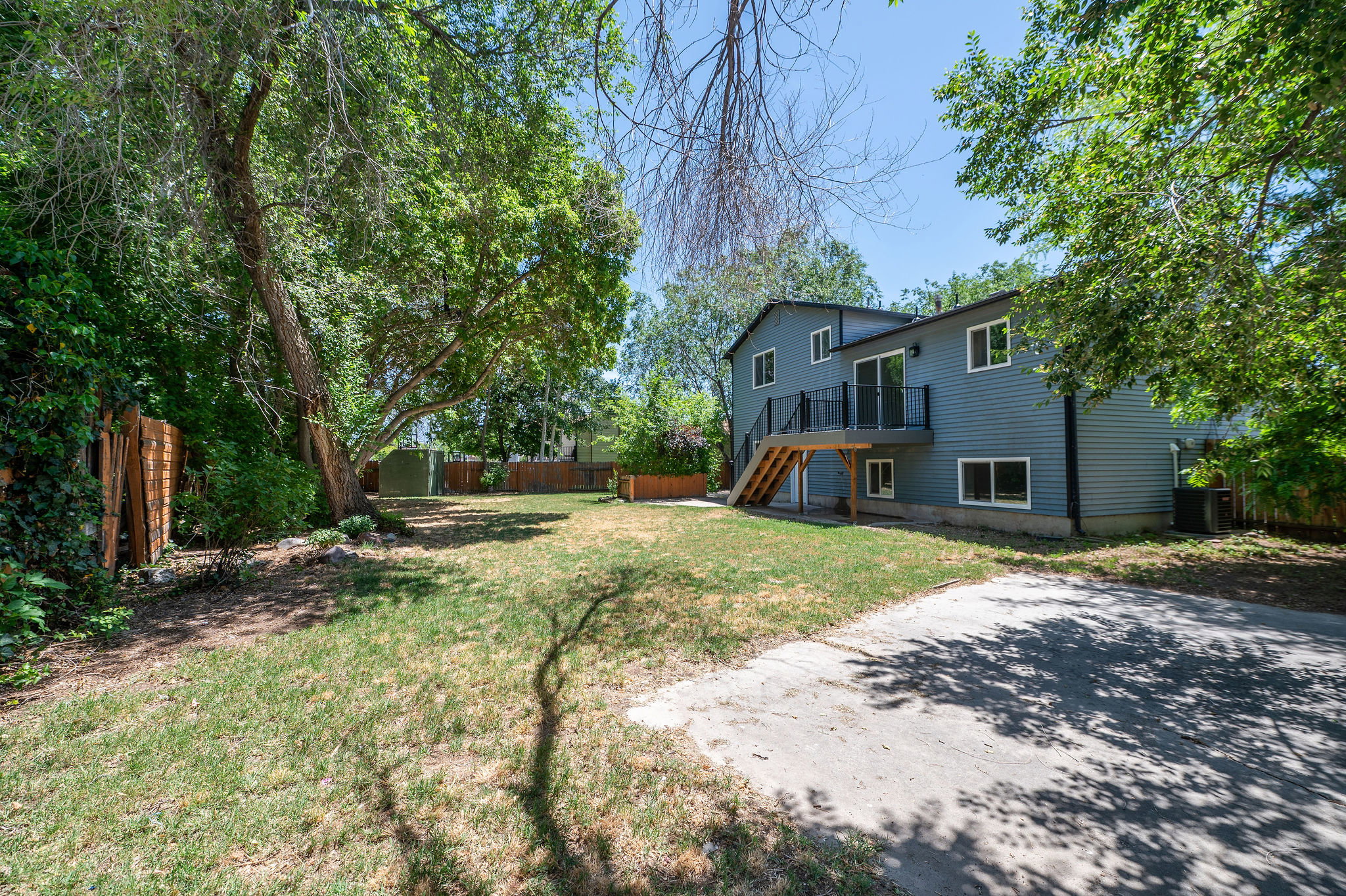 Spacious backyard with mature perimeter trees, a concrete driveway, and a wooden privacy fence