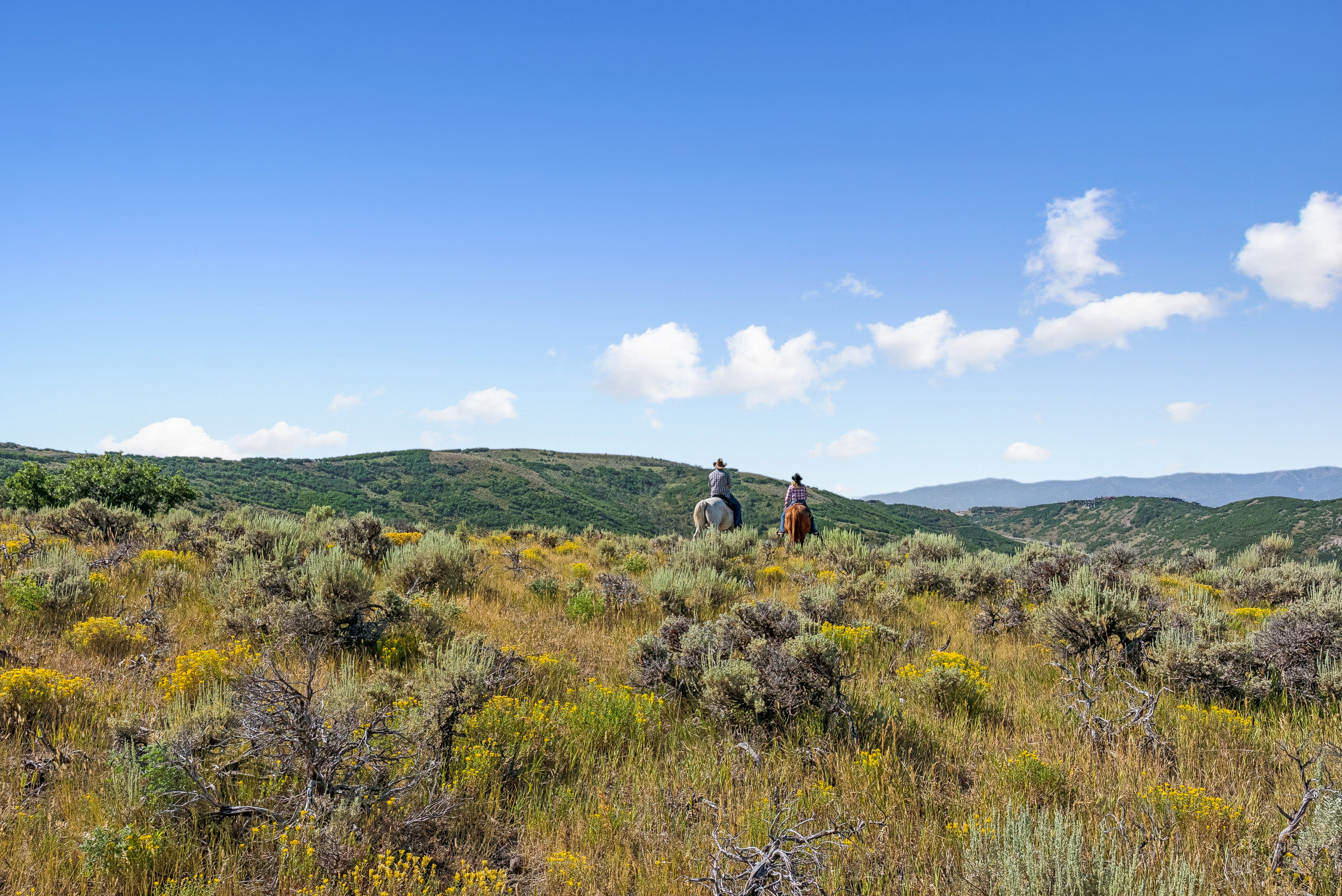 Expansive natural landscape featuring rolling hills and distant mountains under a clear sky