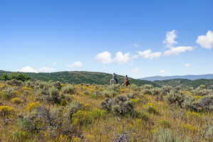 Expansive natural landscape featuring rolling hills and distant mountains under a clear sky