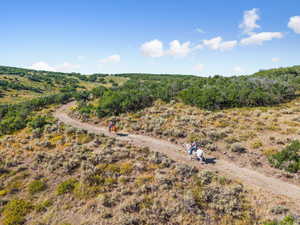 Expansive natural landscape featuring rolling hills and abundant shrubbery