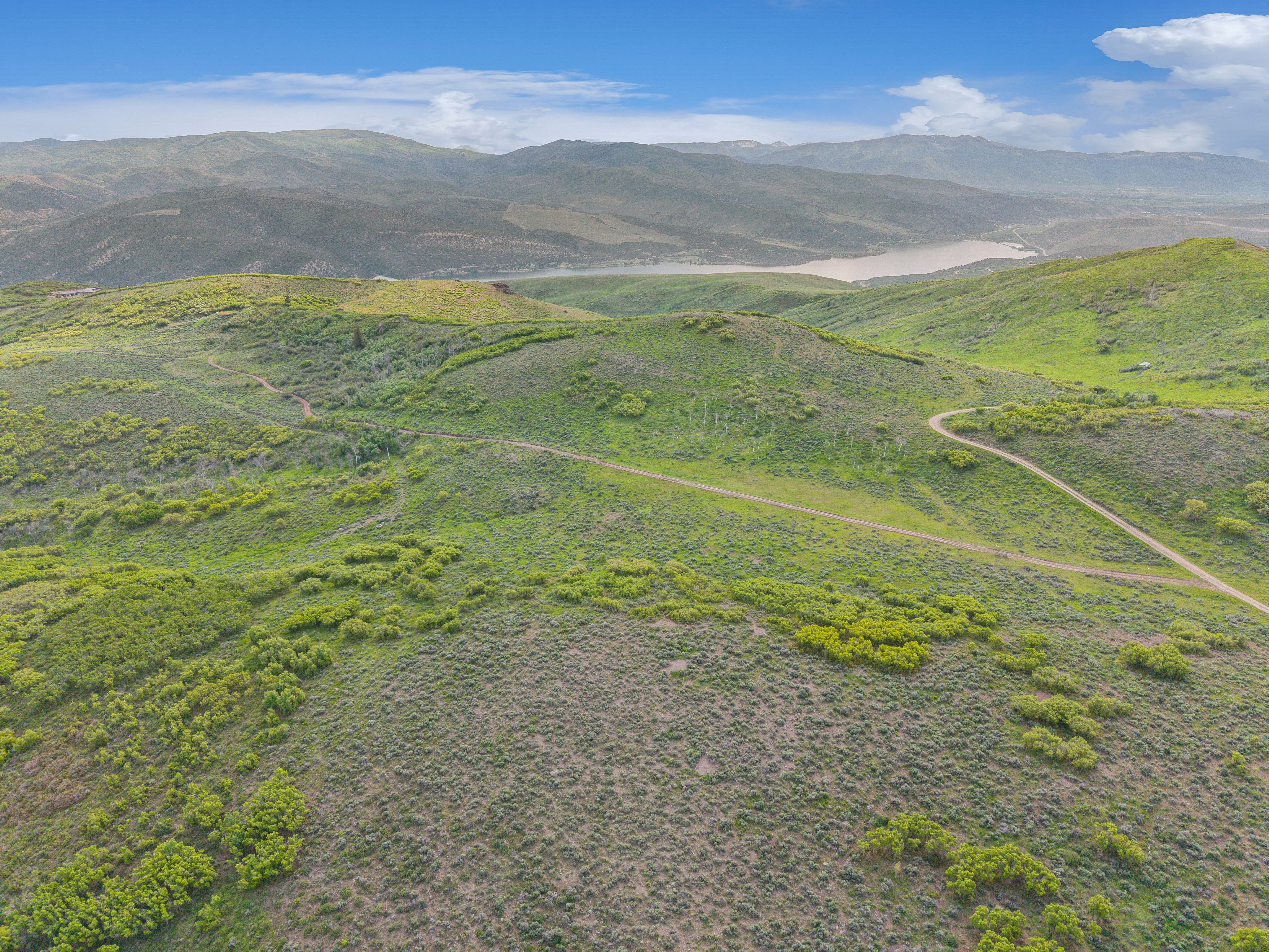 Expansive rolling hills with varied green vegetation