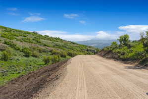 Expansive graded dirt road traversing a hillside with natural vegetation