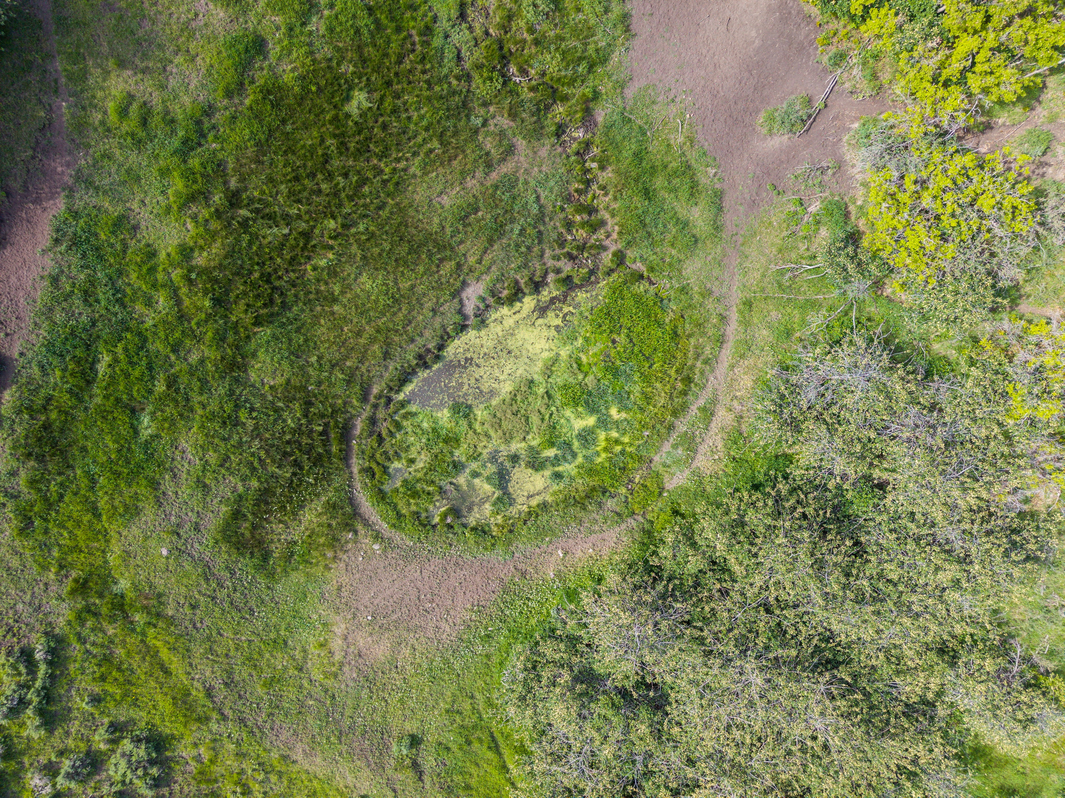 Aerial perspective highlighting diverse natural terrain