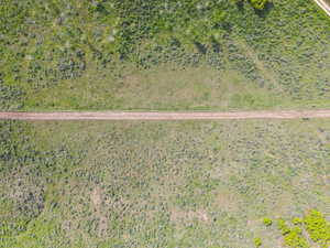 Expansive open land with a central unpaved path