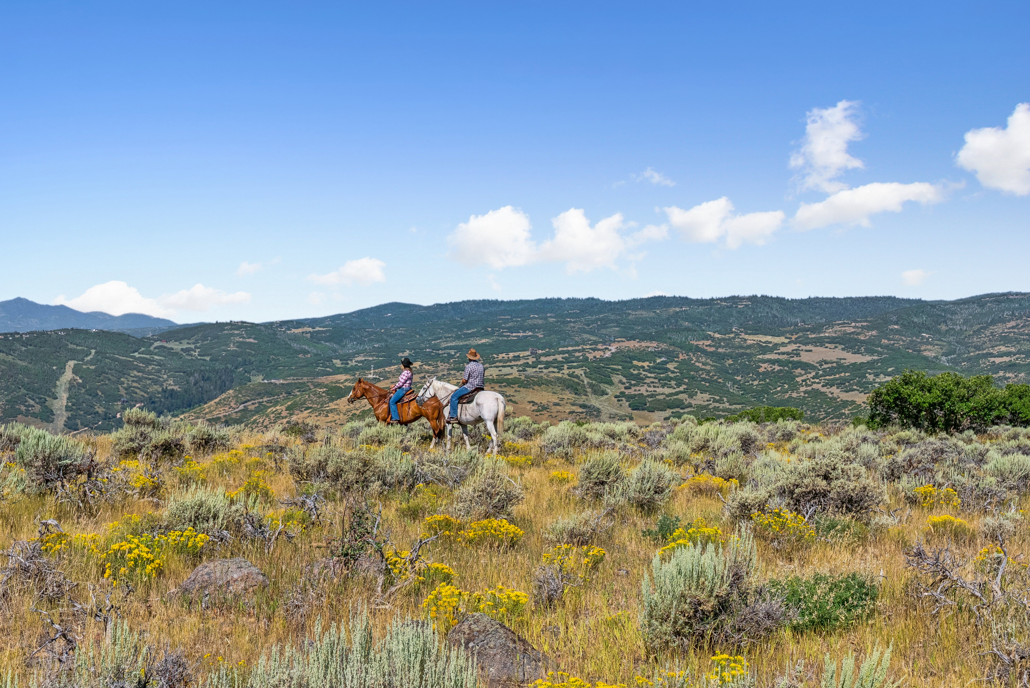 Expansive natural landscape featuring rolling hills and distant mountains