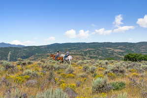 Expansive natural landscape featuring rolling hills and distant mountains