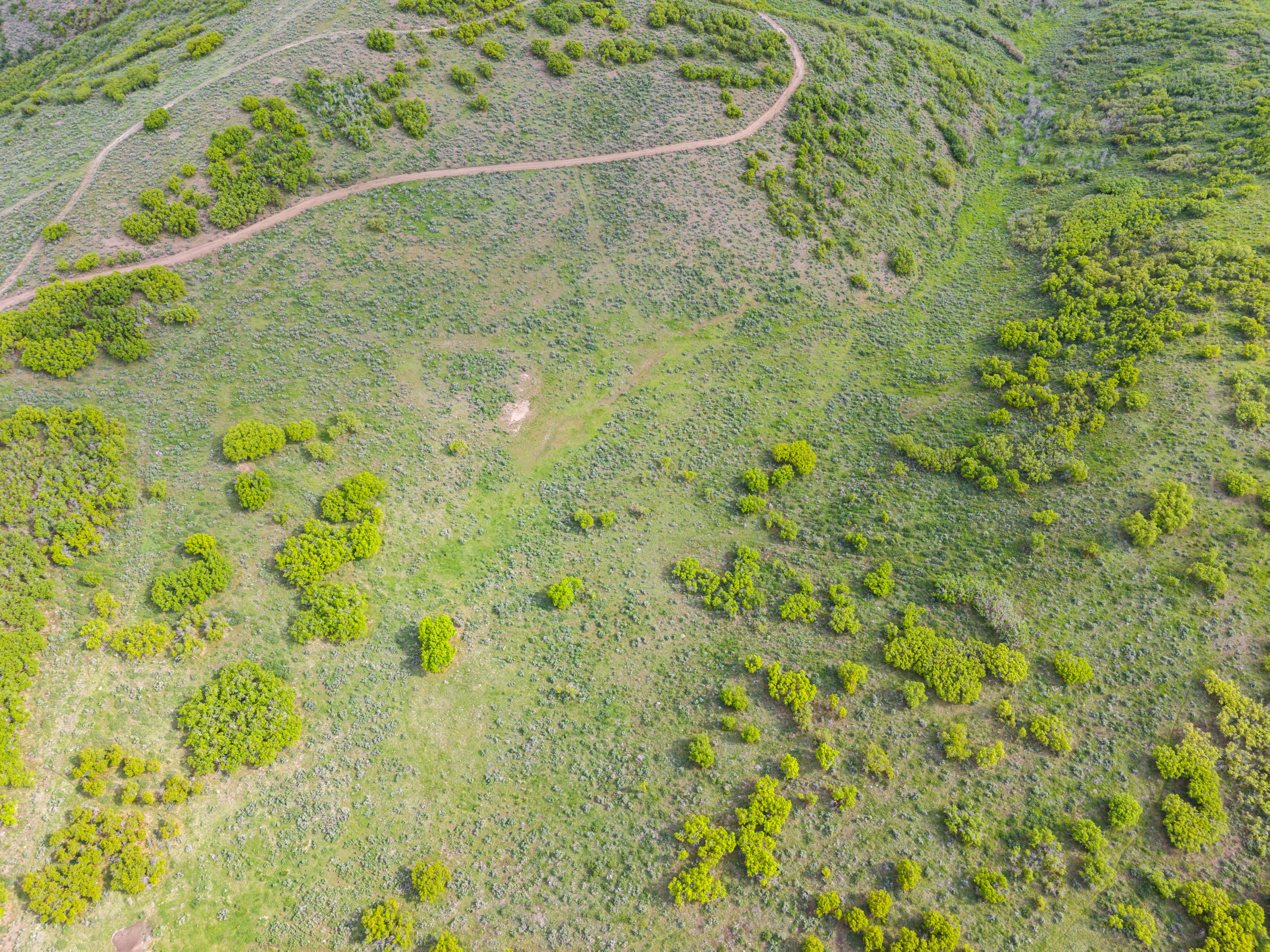Expansive undeveloped land featuring natural terrain with diverse vegetation
