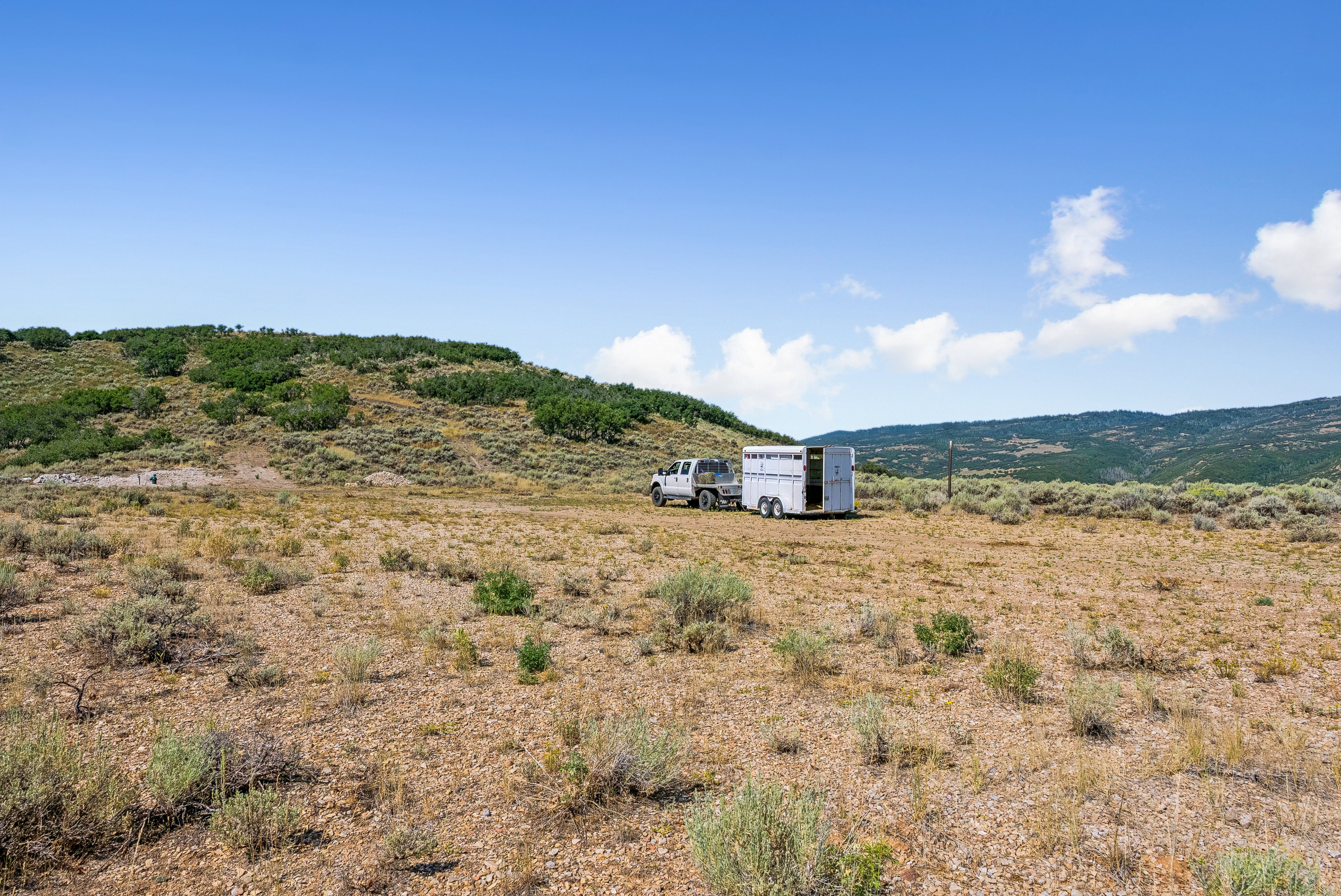 Expansive open terrain featuring natural vegetation, distant mountains, and a clear sky
