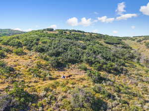 Expansive acreage featuring rolling hills, mature trees, and varied terrain under a clear sky