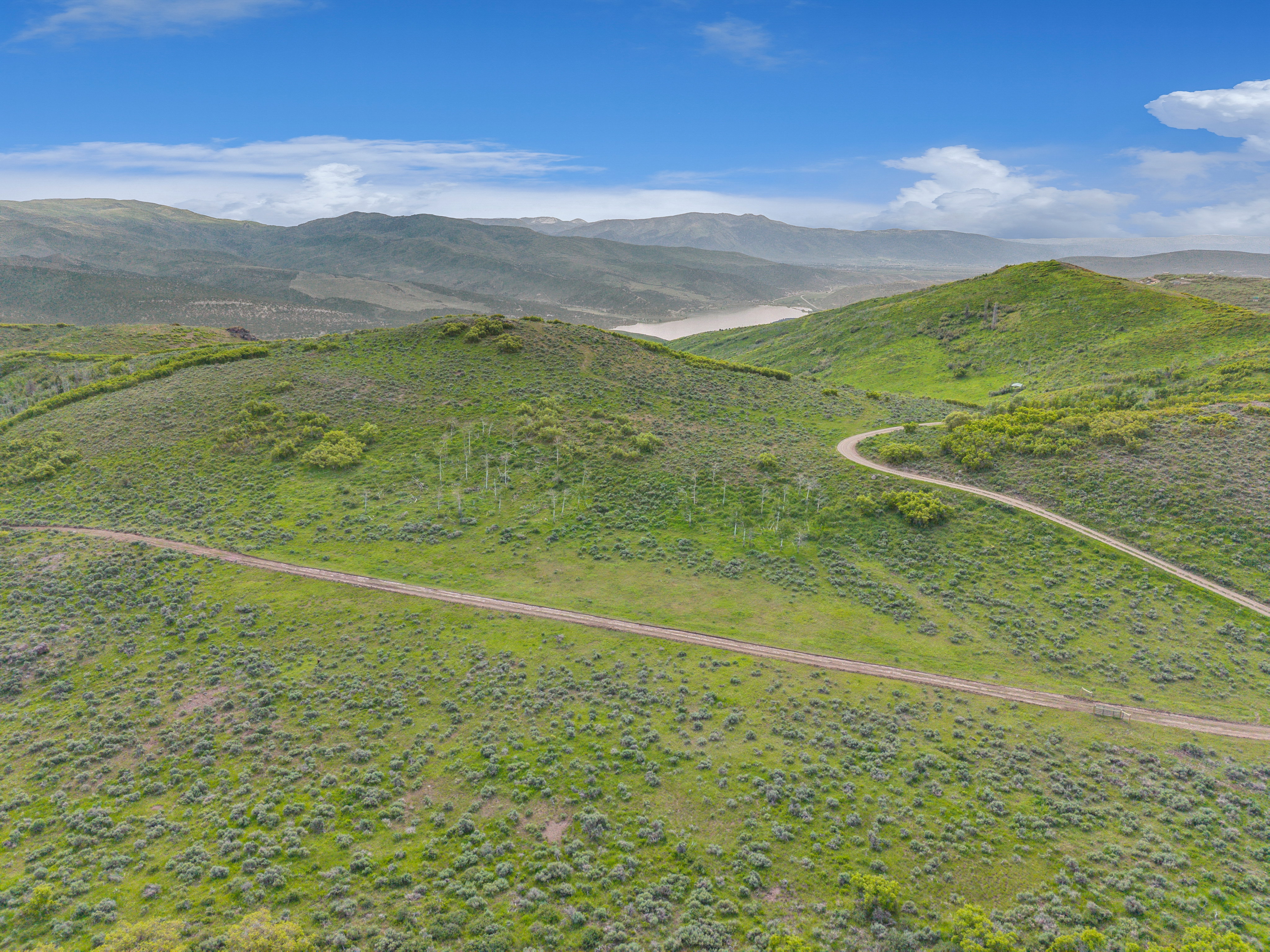 Expansive rolling green hills with scattered trees, a winding unpaved road, and distant mountain ranges under a blue sky with white clouds