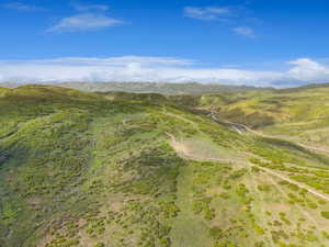Expansive, verdant hills with visible unpaved trails and a distant winding road