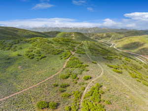 Expansive hillside terrain featuring varied green foliage, winding dirt paths, and distant mountain ranges under a clear blue sky
