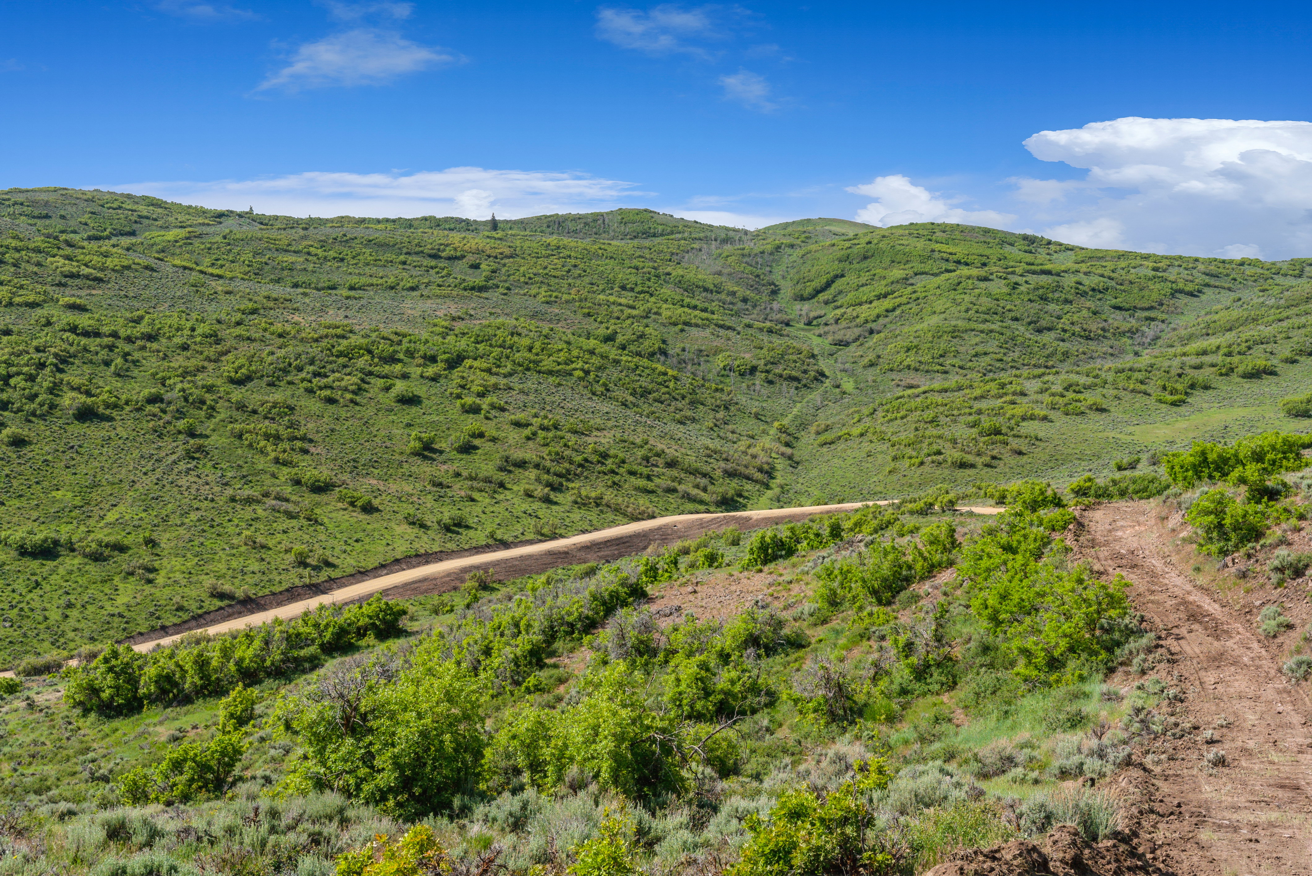 Expansive rolling hills featuring natural landscaping and a partially graded access road